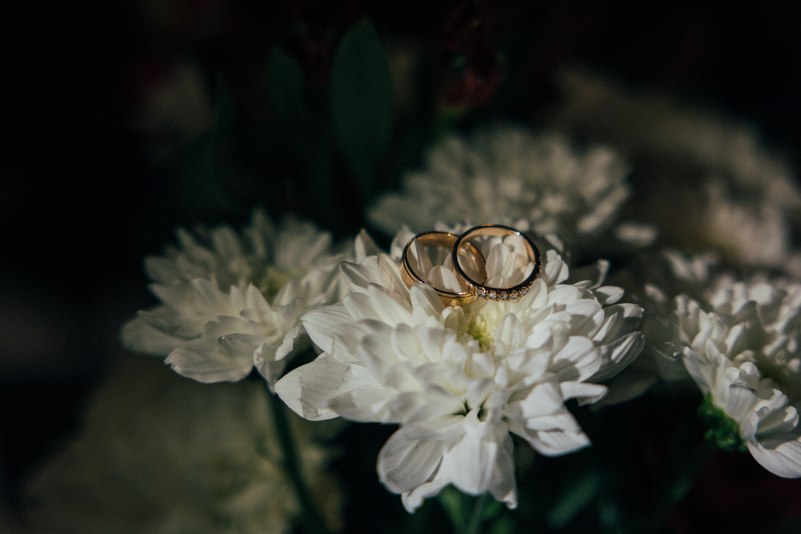 Портфолио. Репортажный Фотограф Москва