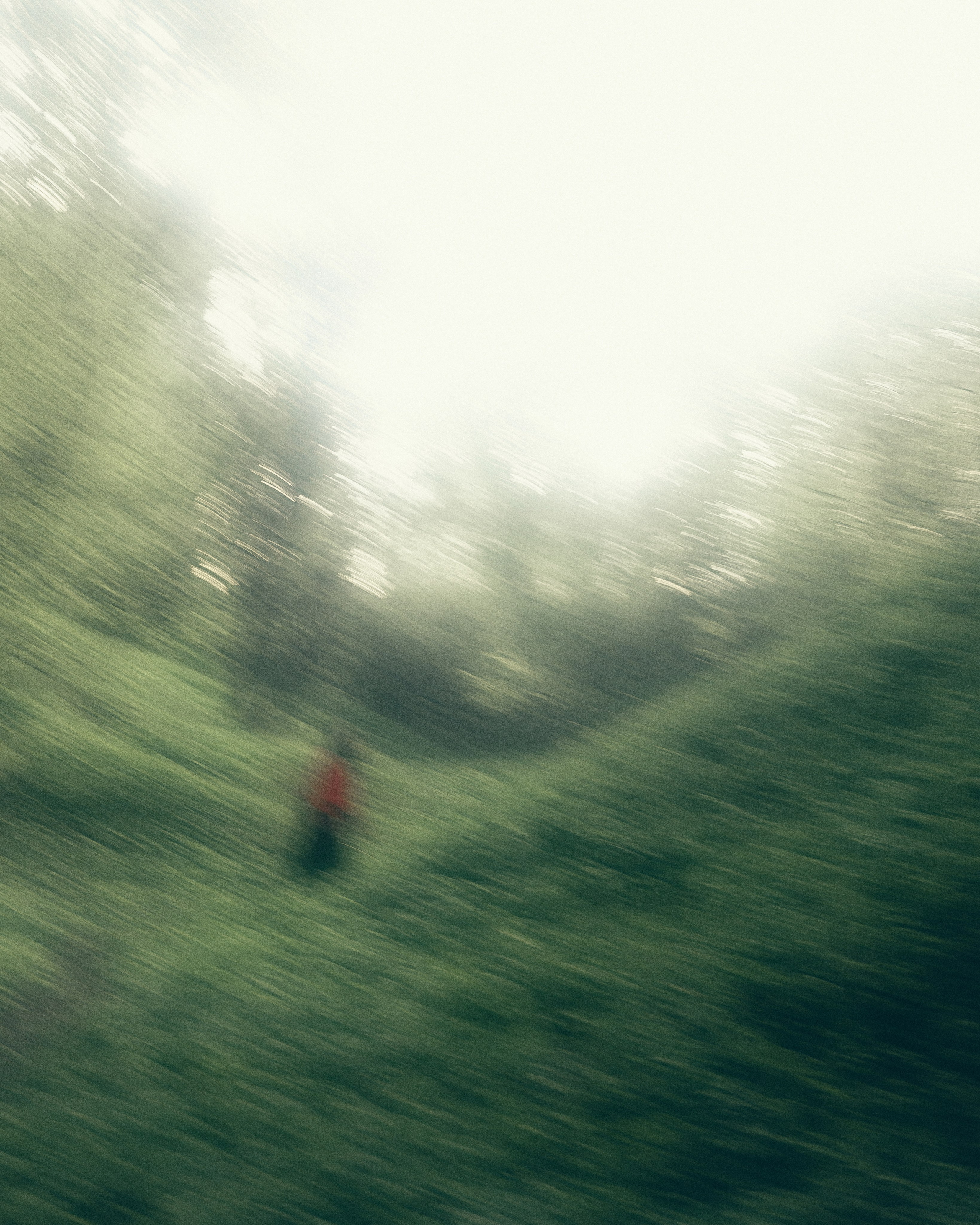 Lera YokoMori. Фотограф Грачев Никита