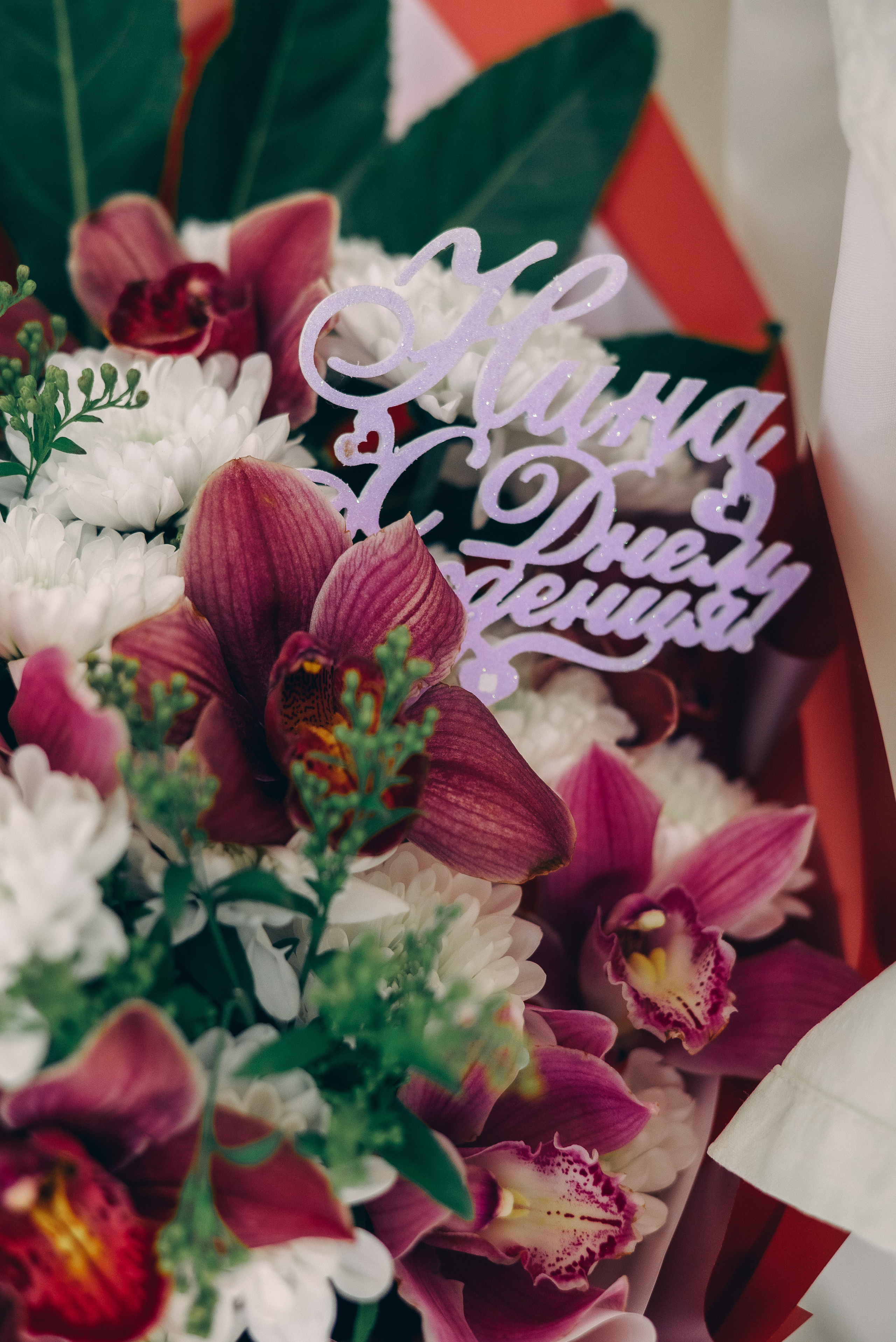 Мероприятия. Фотографы Ивановы Краснодарский край