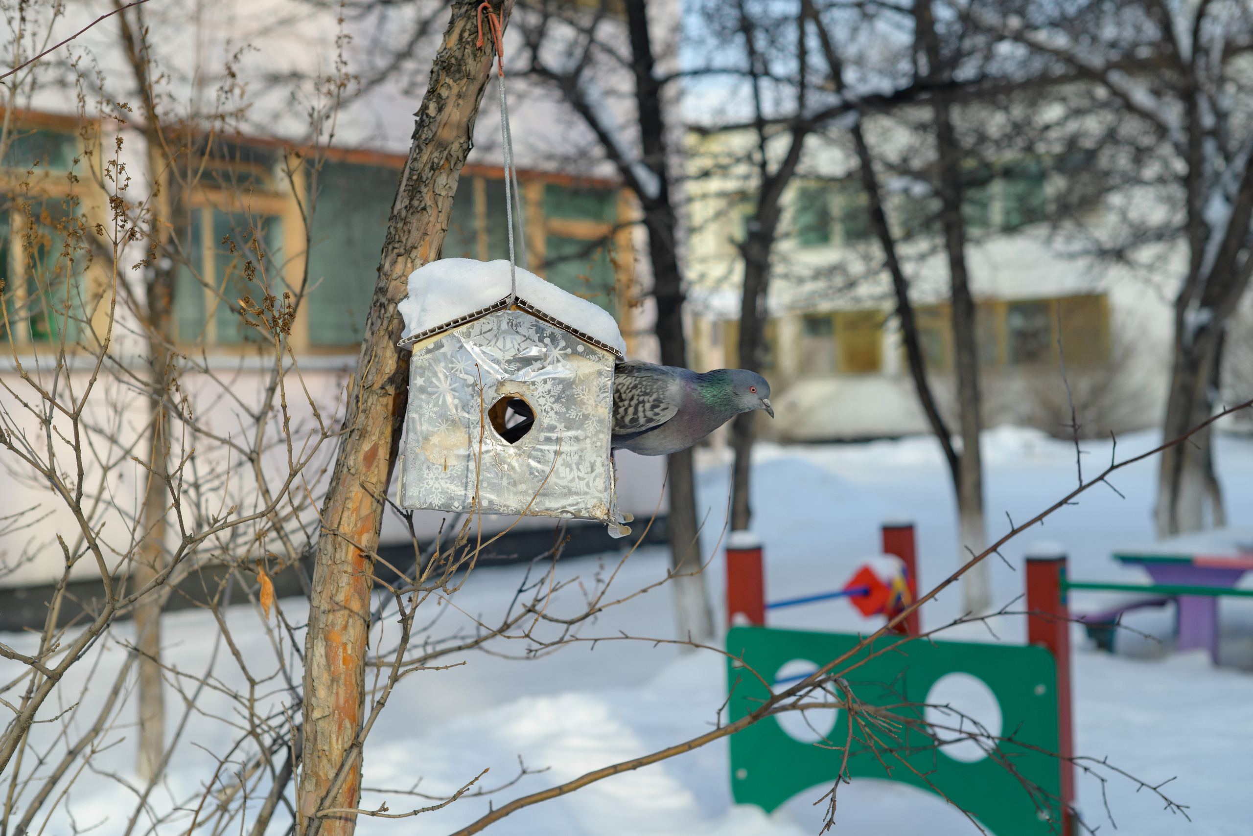 Сады. Фотографы Ивановы Краснодарский край