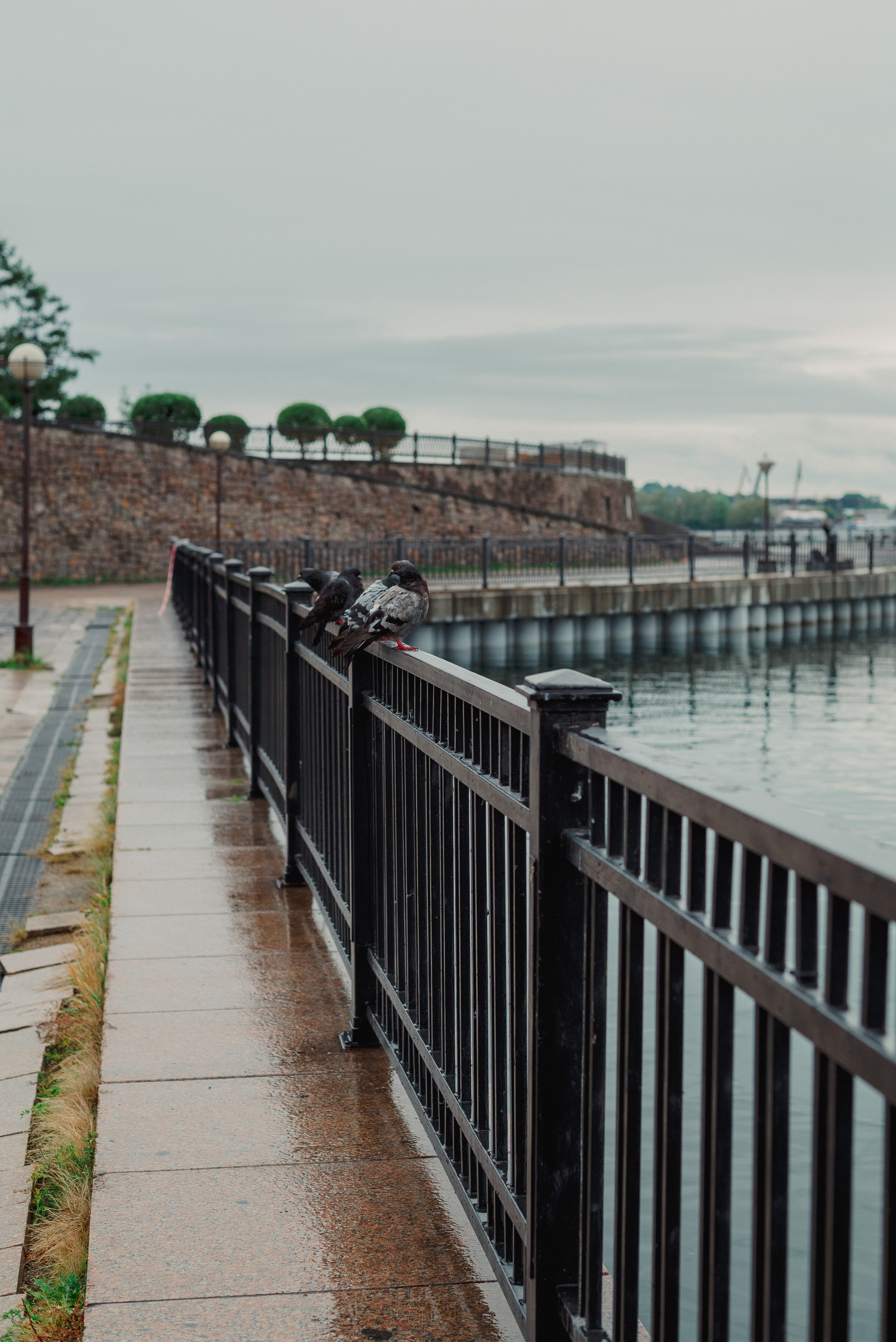 Анжелика + Александр. Фотографы Ивановы Краснодарский край