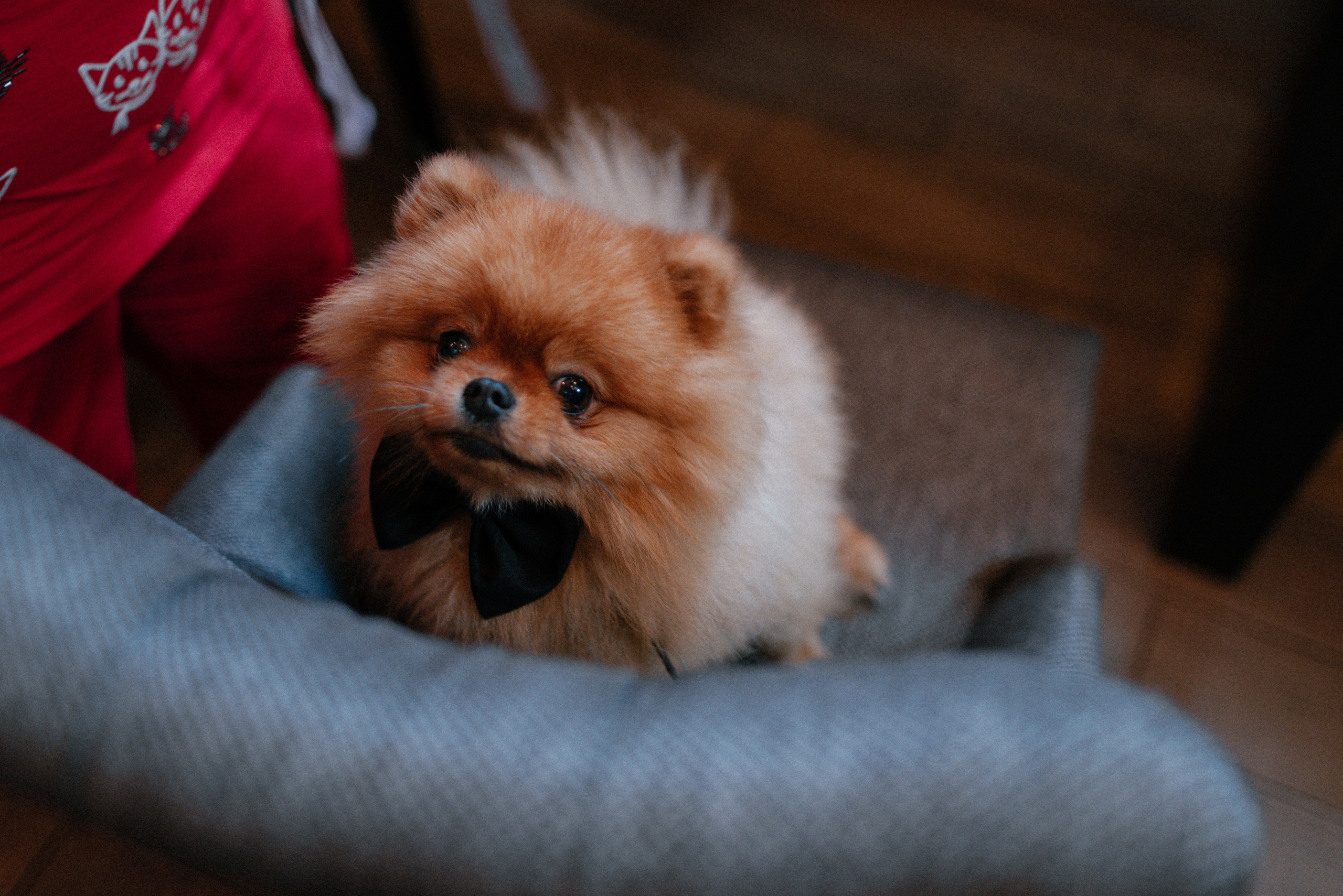 Артем и Мари. Свадебный фотограф Булавина Кристина Нижний Новгород
