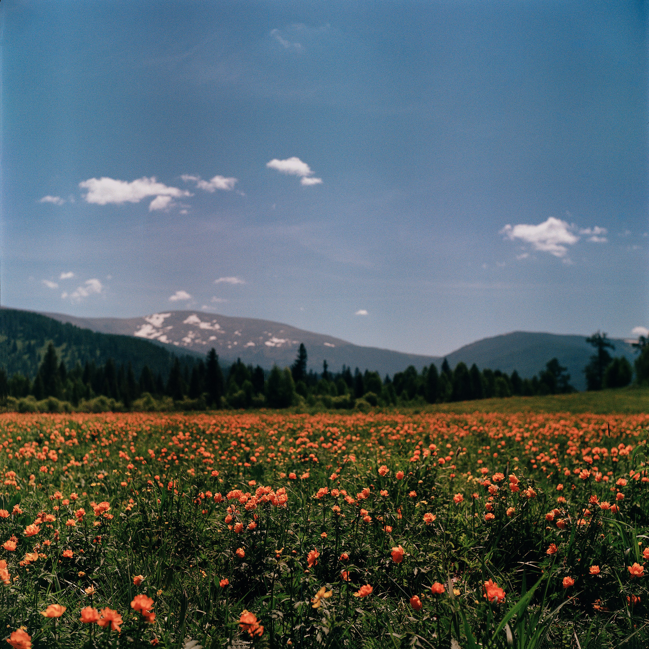 Пейзажные фотографии Алтая. Портретный и репортажный фотограф. Мыльников Илья