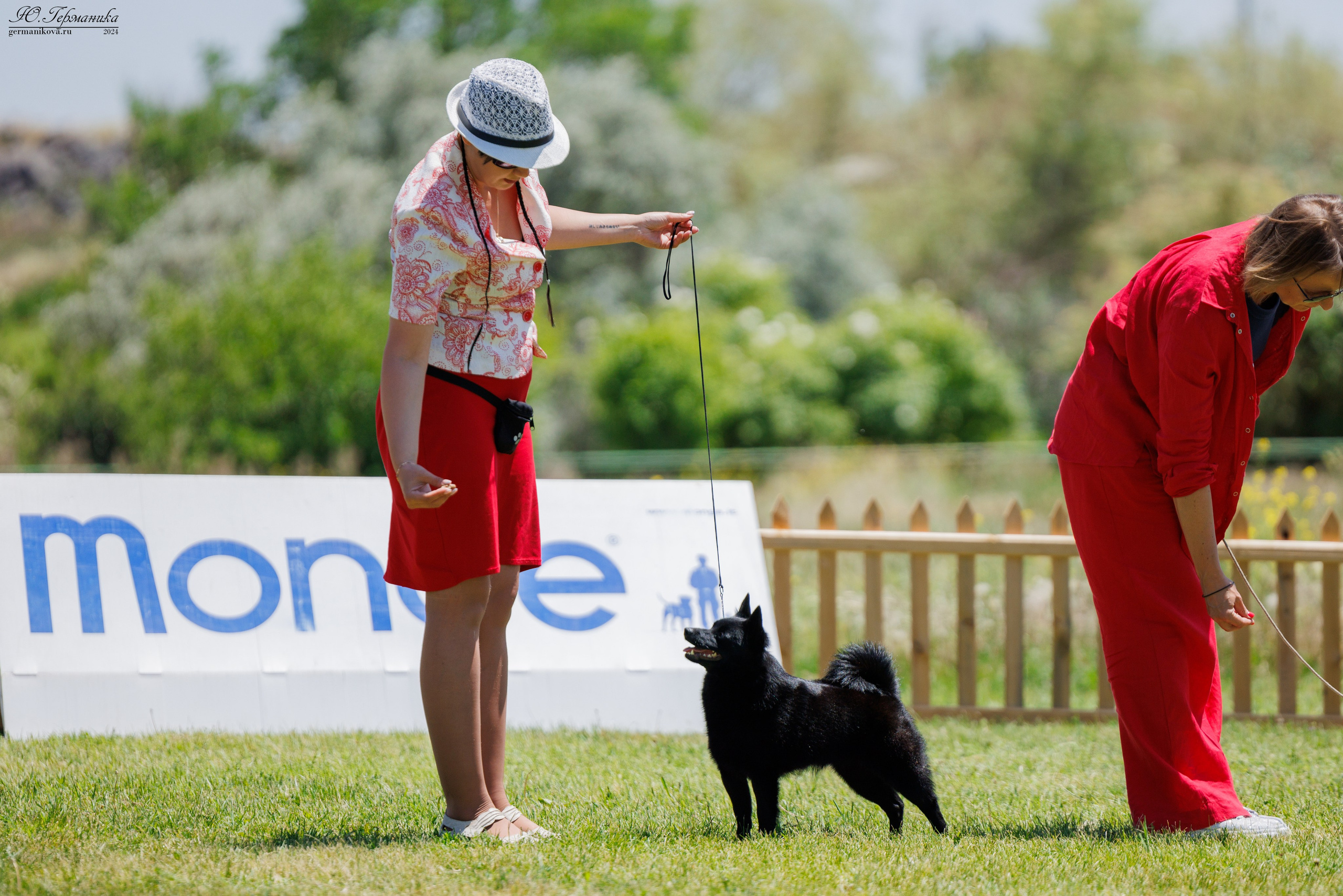 Ереван 3-5.06.2024. Фотограф-анималист Юлия Германика