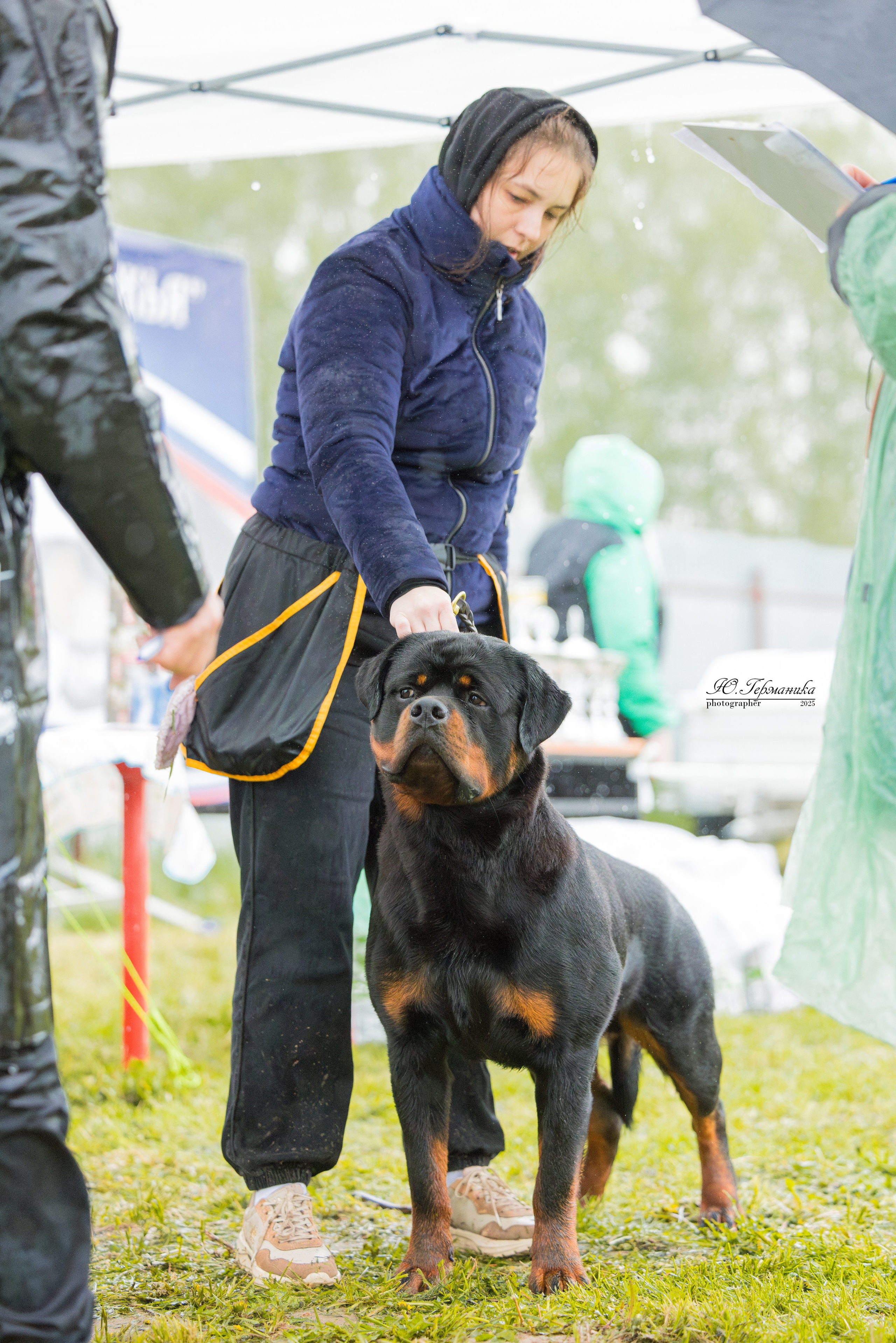 Нижний Новгород 2хмоно ротвейлеров 10-11.05.2025. Фотограф-анималист Юлия Германика