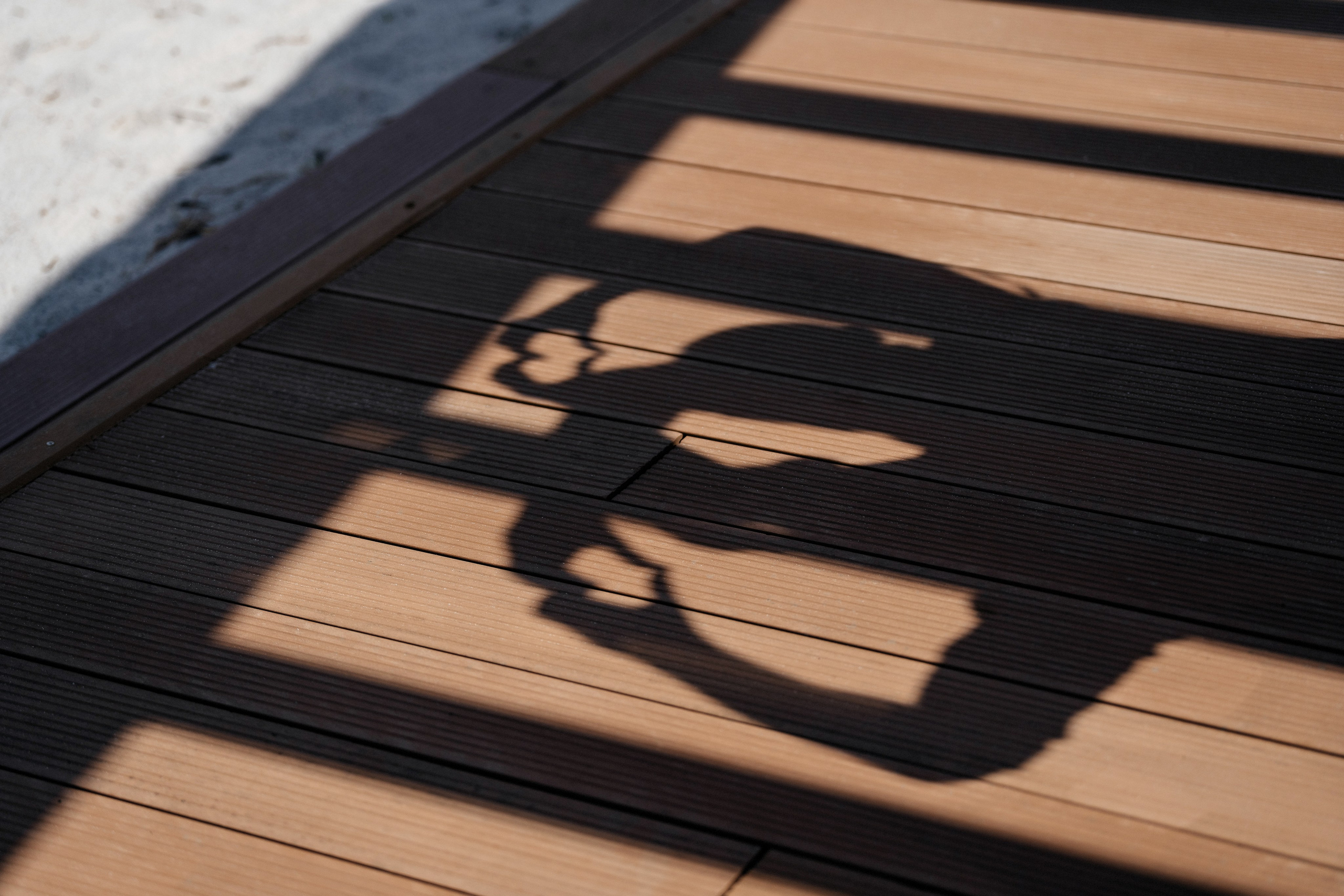 Ангелина и Никита. Свадебный фотограф Александр Воронов — Белгород, Воронеж, Москва