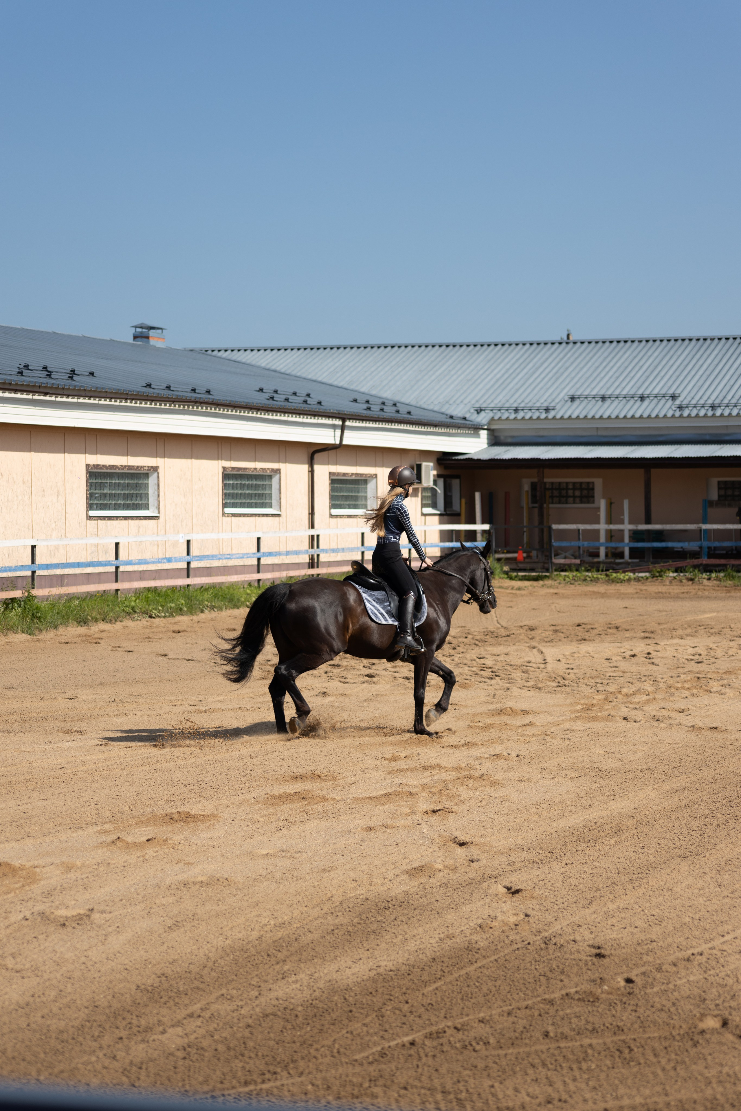 Конюшня. Фотограф в Москве и Истре