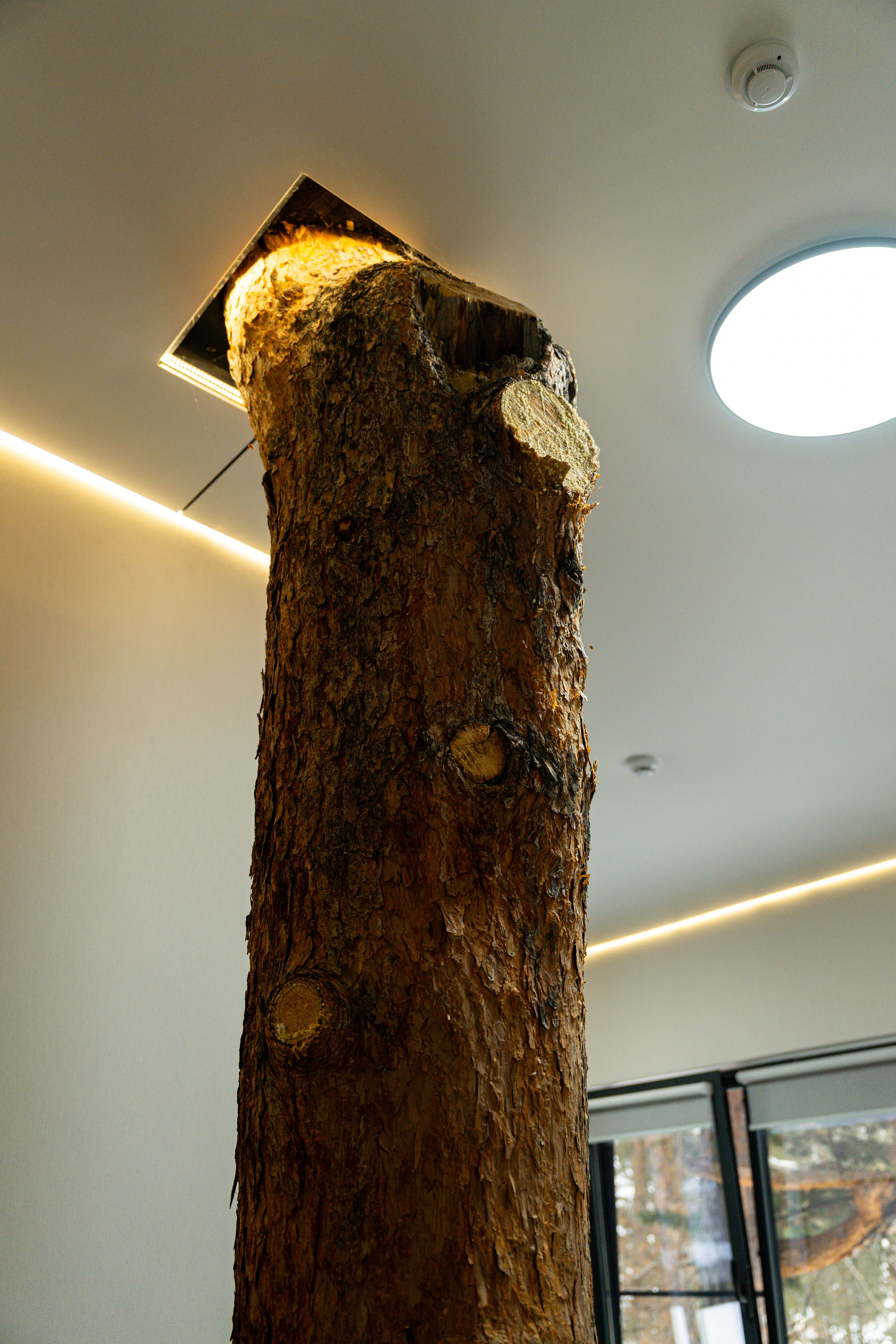 Эклер. Фотограф и видеограф Елена Хмелевская