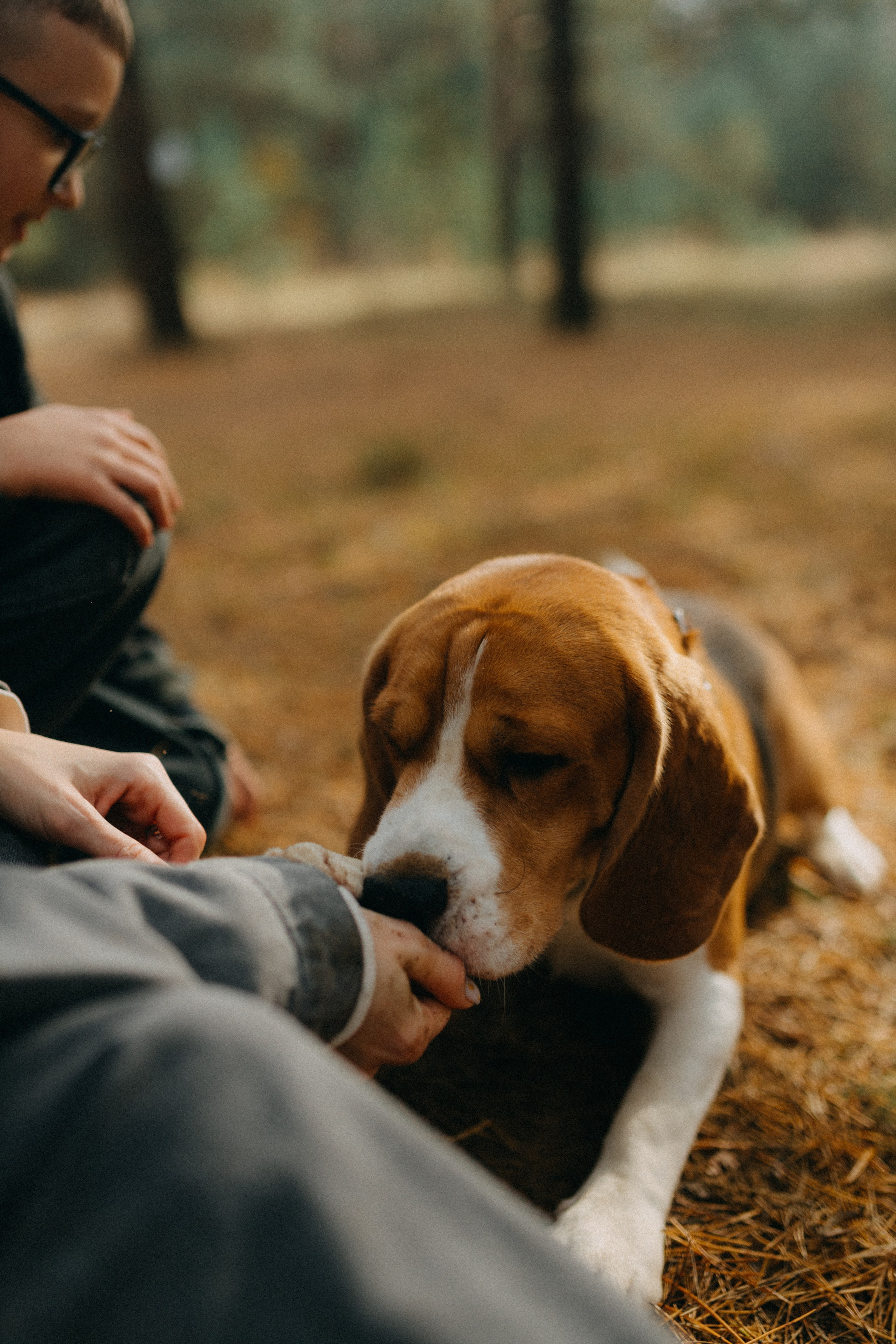 Ксюша & Федя. Прогулка с Лайдом. Фотограф НОГИНСК, Москва, Анастасия Белая