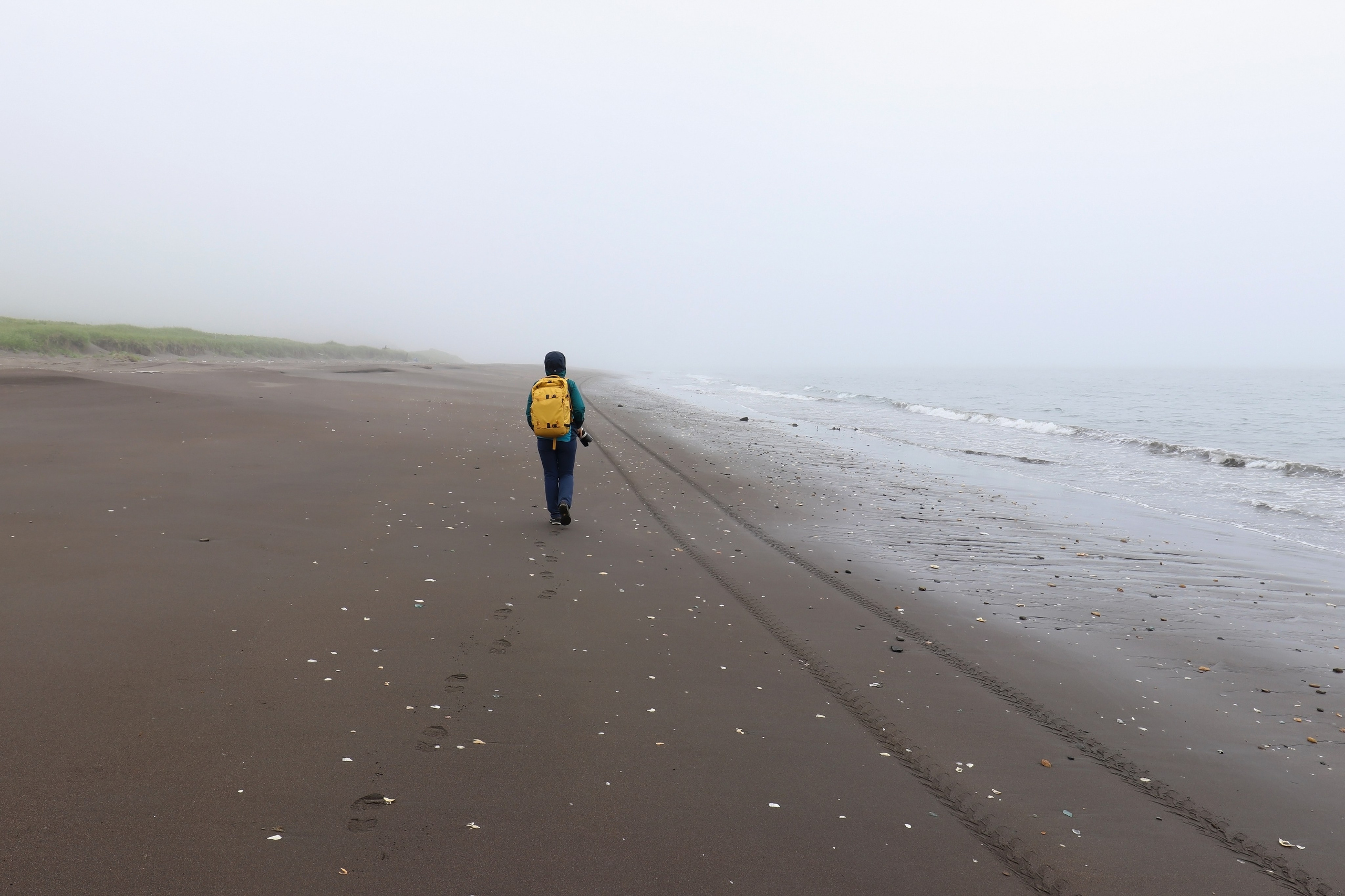 Камчатка и о. Парамушир. Июль 2024. Путешественник-фотограф из Санкт-Петербурга Татьяна Свистулина