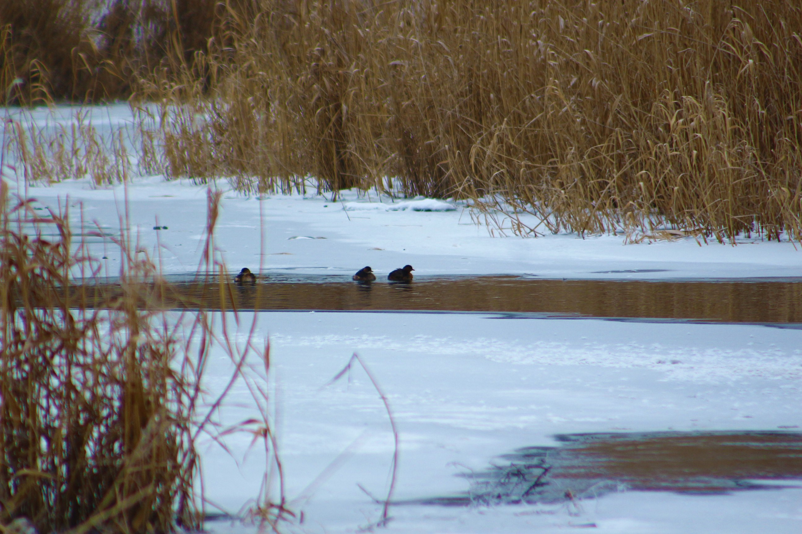 Пейзажи. Фотограф из Донецка Александр Турко