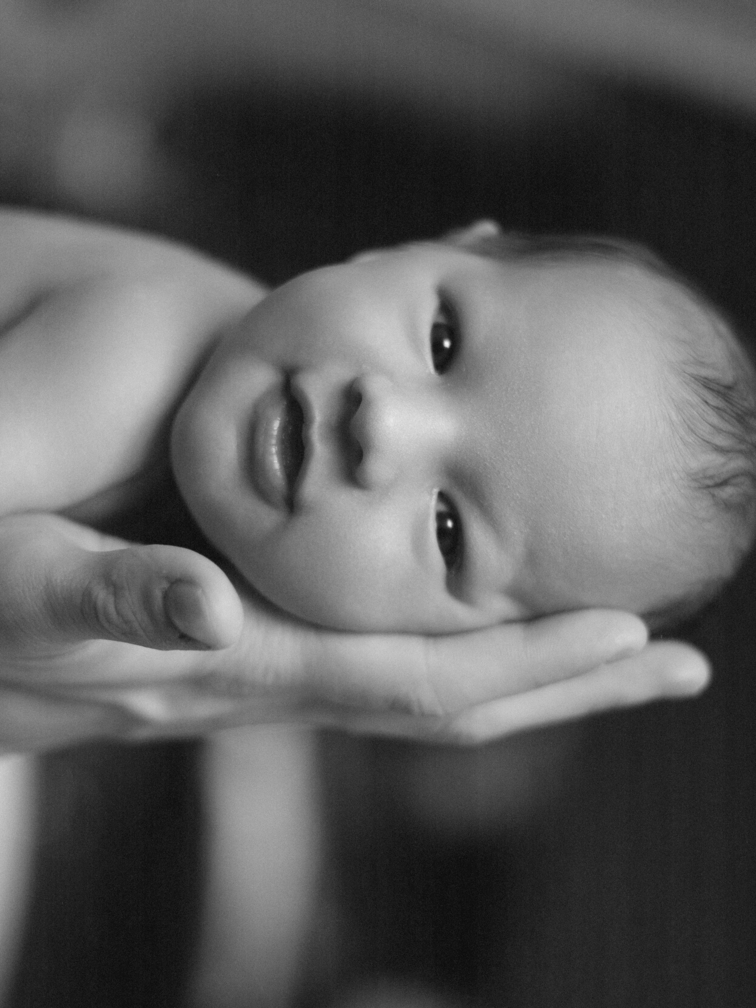 Мироша. SHILOVA PHOTO. Шилова Екатерина. Фотограф. Москва