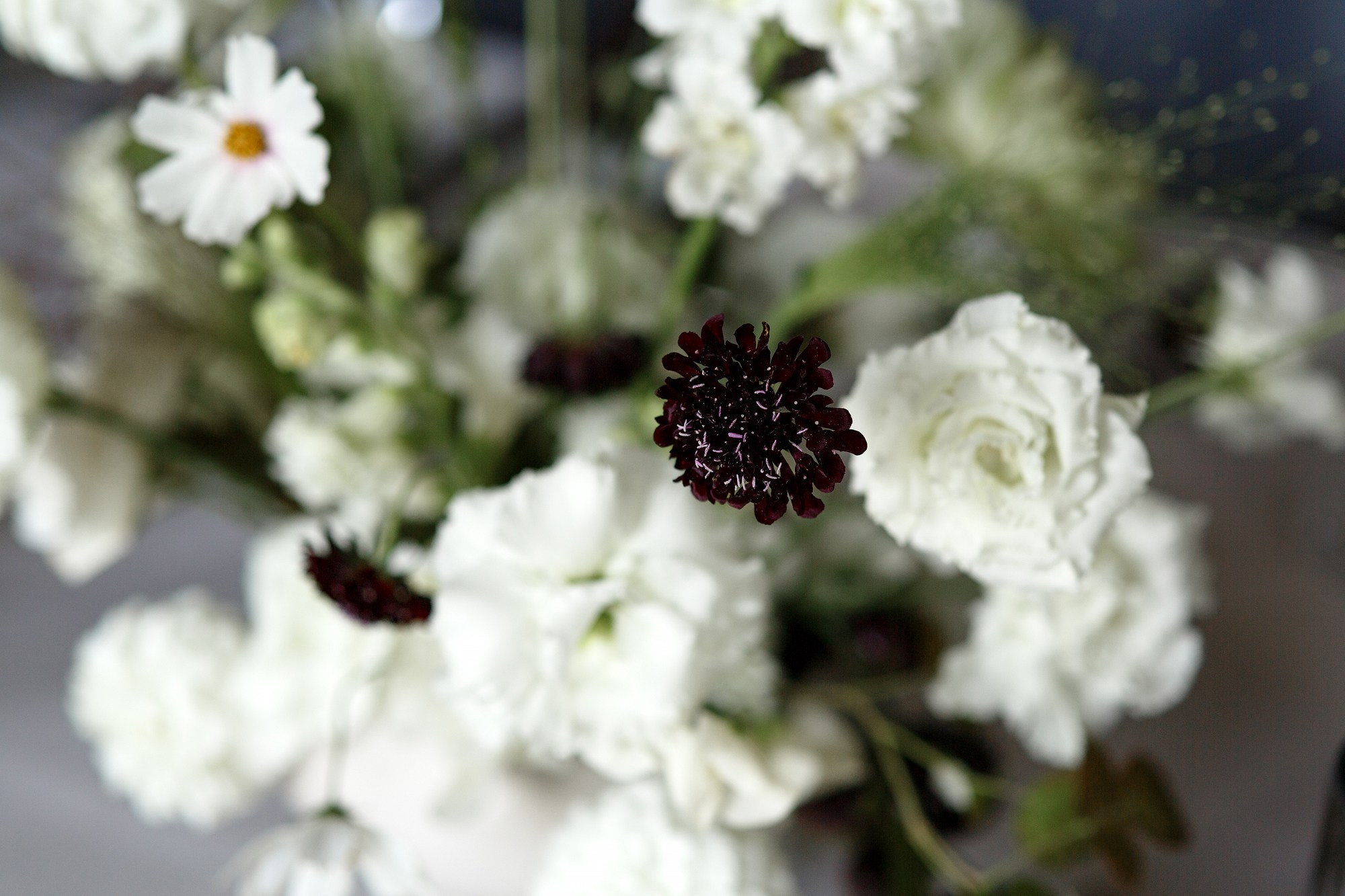 Grebeshki. Свадебный фотограф в Санкт-Петербурге Наталья Вендт