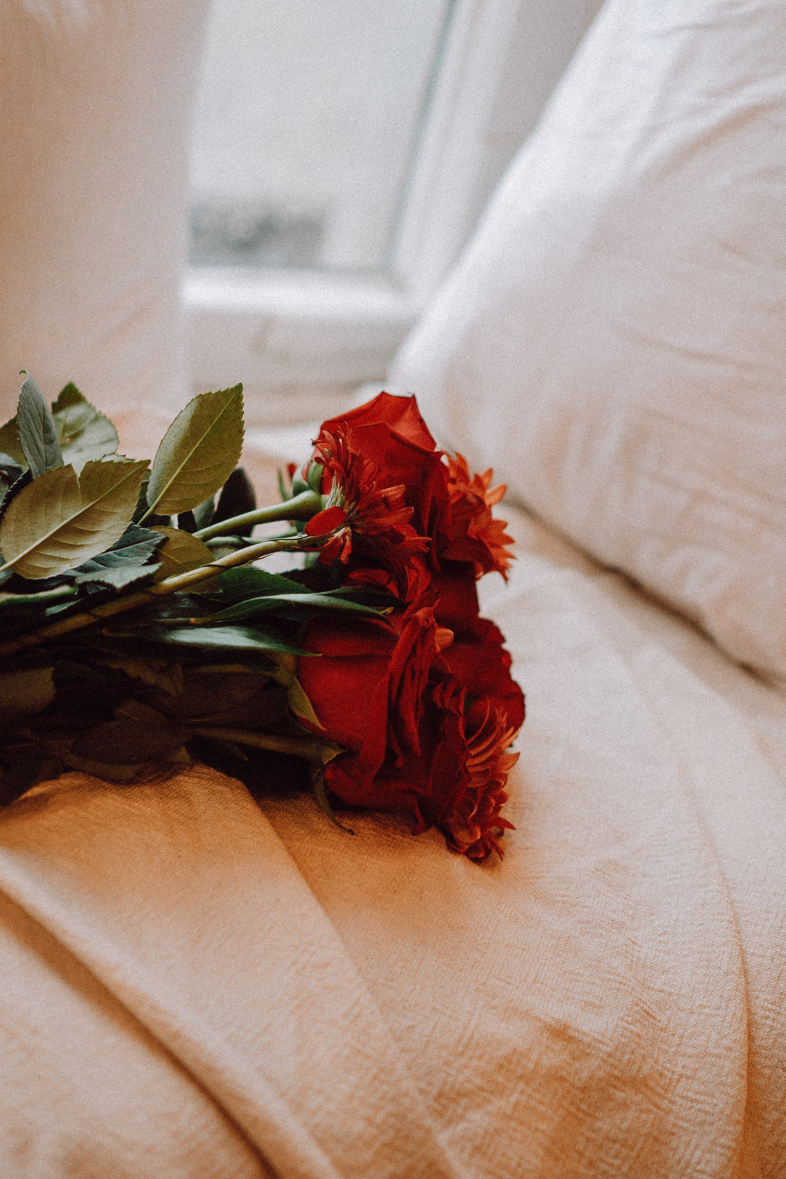 Новогодний стиль вдвоем. Профессиональный фотограф, Санкт-Петербург — Виктория Богомолова