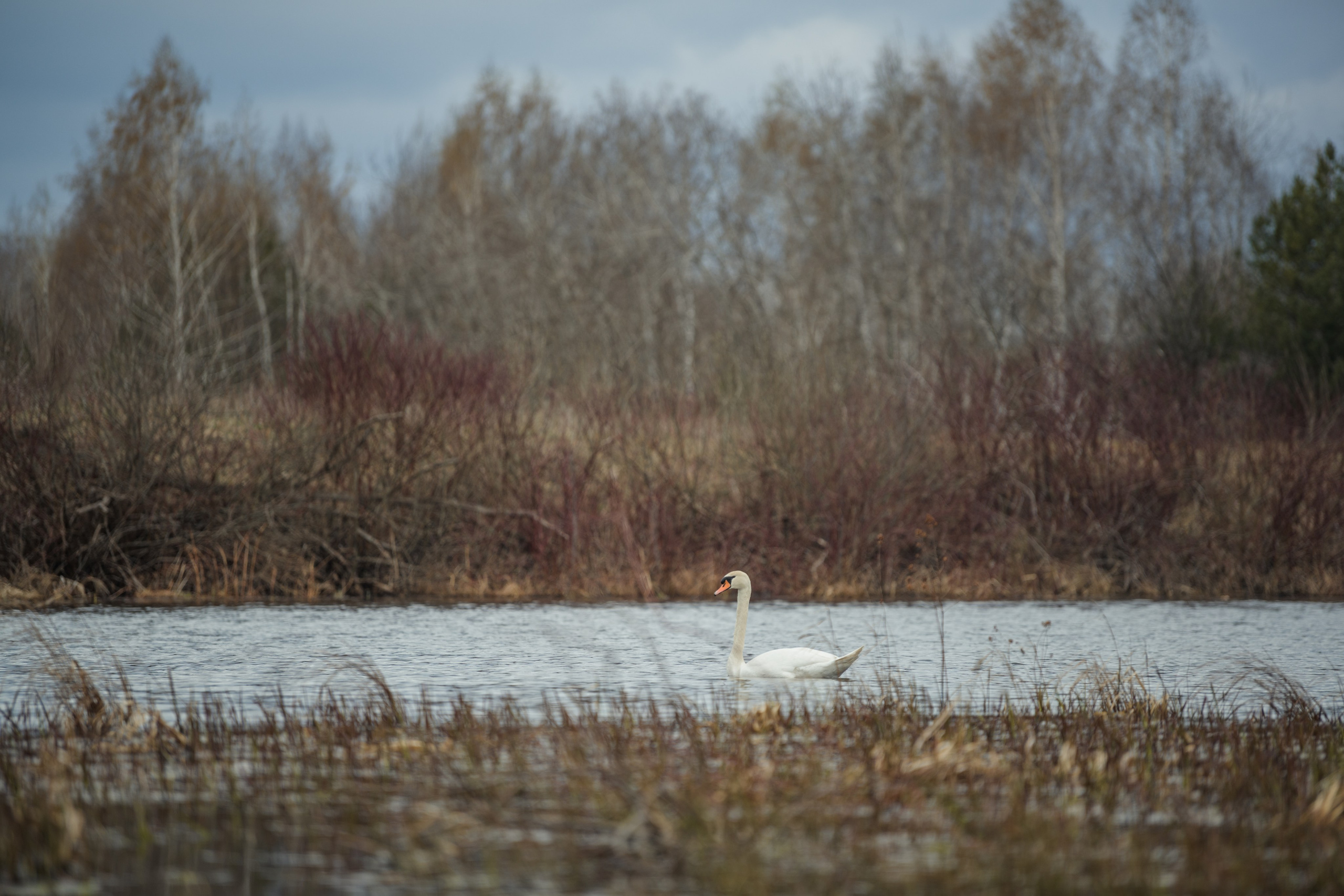 Разведка нового маршрута. Репортажный фотограф Владимир Беляй