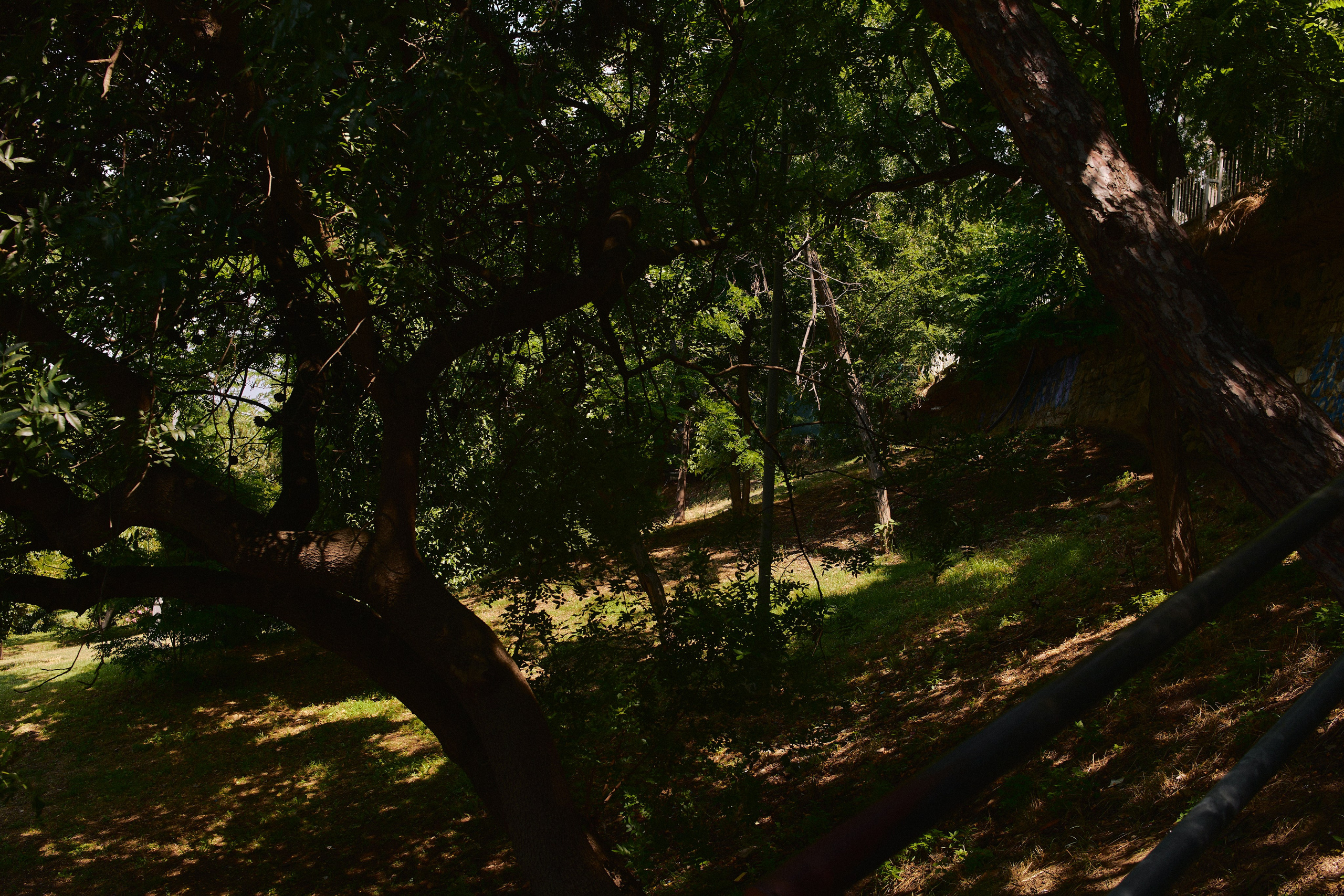 Улица горизонтальная. Jorgis — фотограф в Хургаде / обучение фотографии