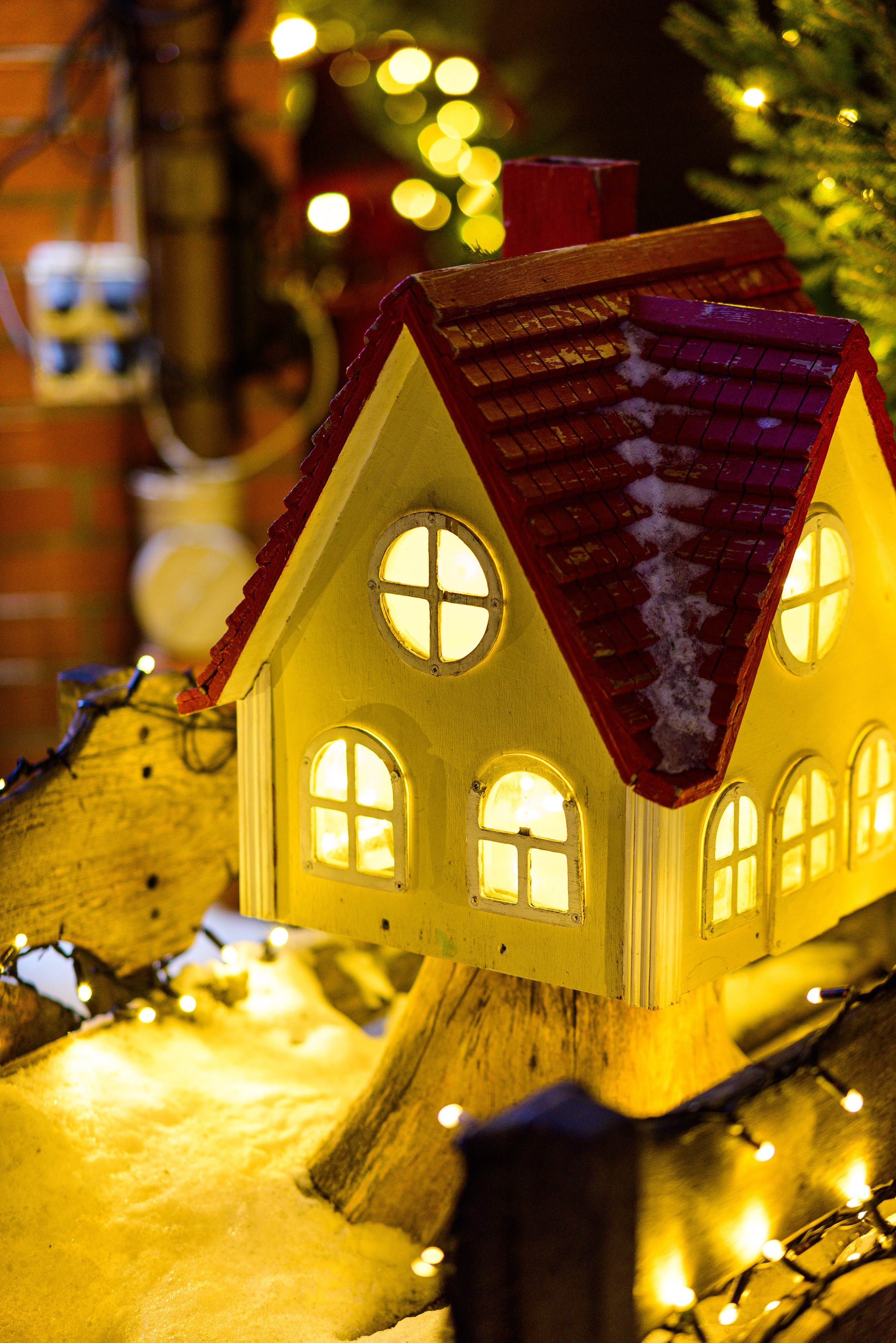 Зимняя Калининградская область. Фотосъемка и видеосъемка в Калининграде Liveemotion.pro