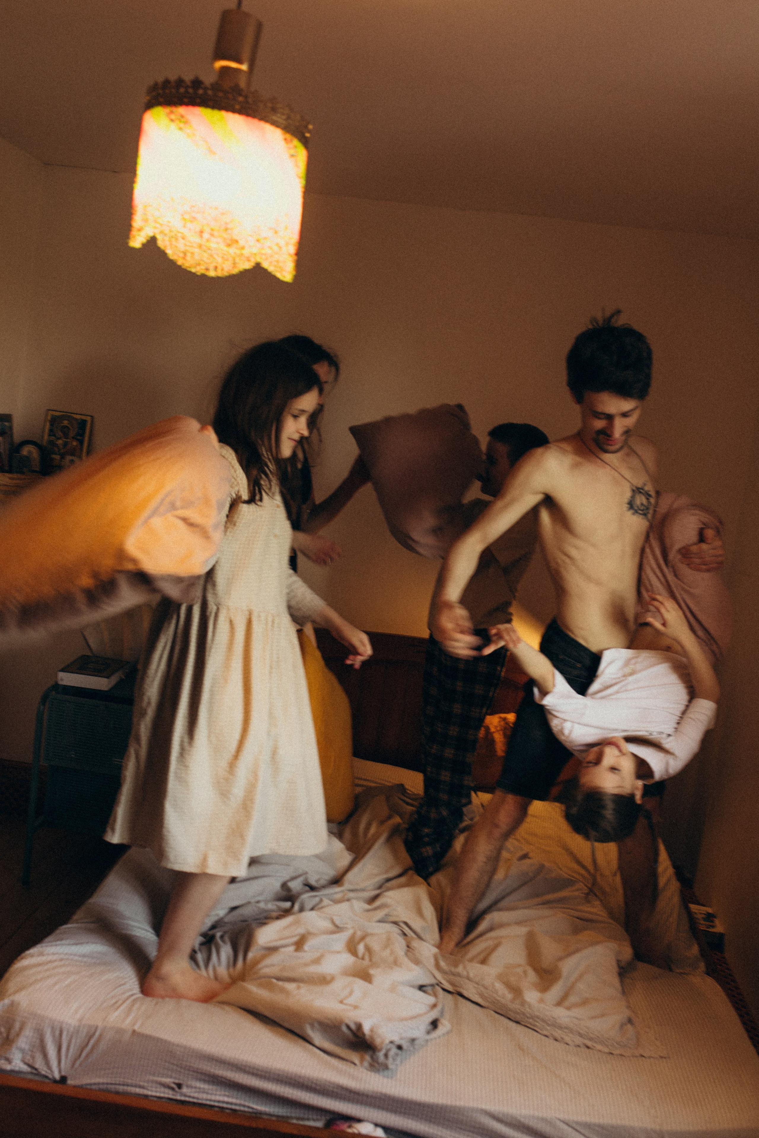 Домашняя история. Meryfotoidea