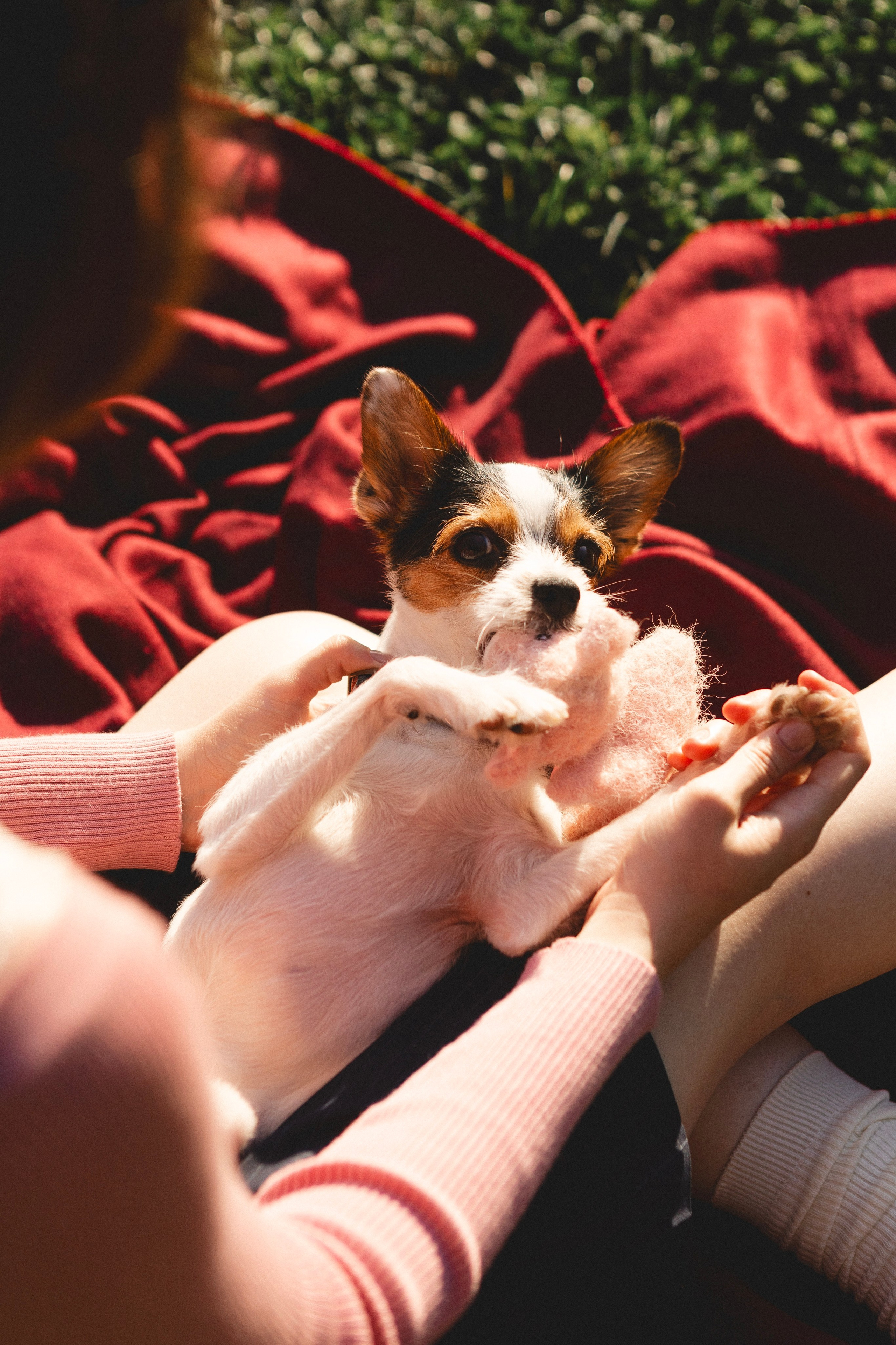 Лайфстайл. Портреты и лайфстайл в Краснодаре