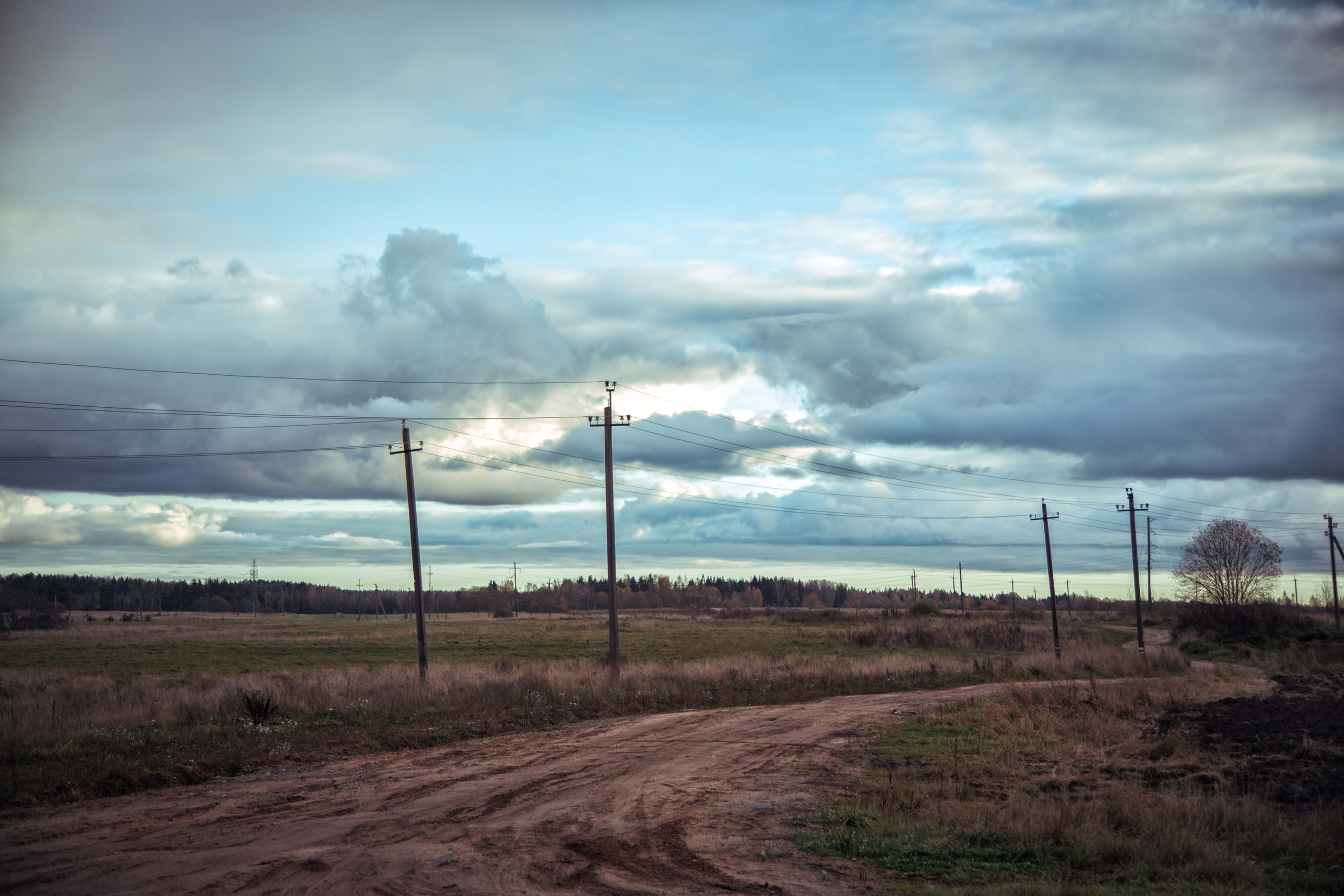Печеры. Семейный и детский фотограф в Москве Ольга Кривенцова