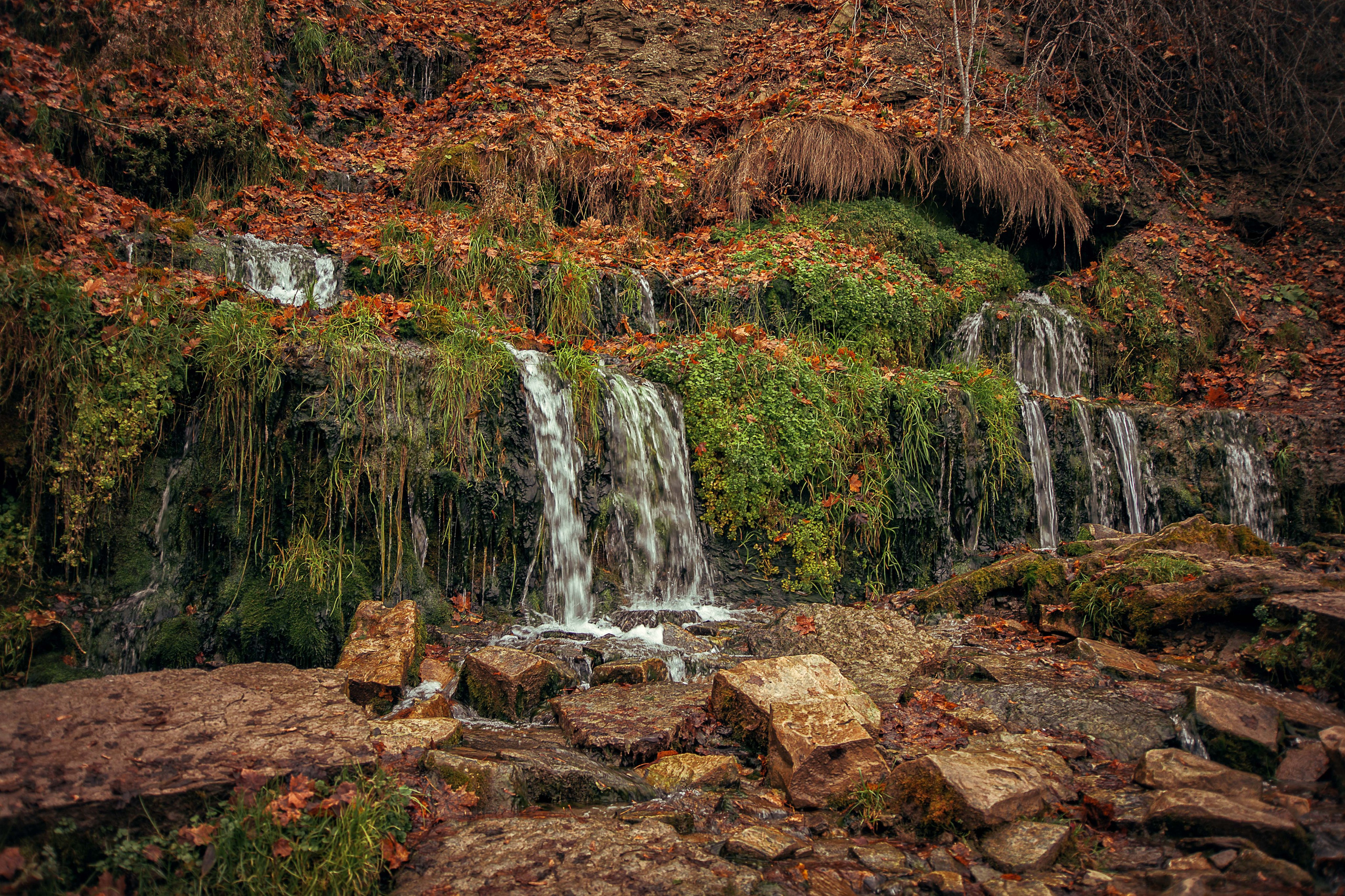 Изборск. Семейный и детский фотограф в Москве Ольга Кривенцова