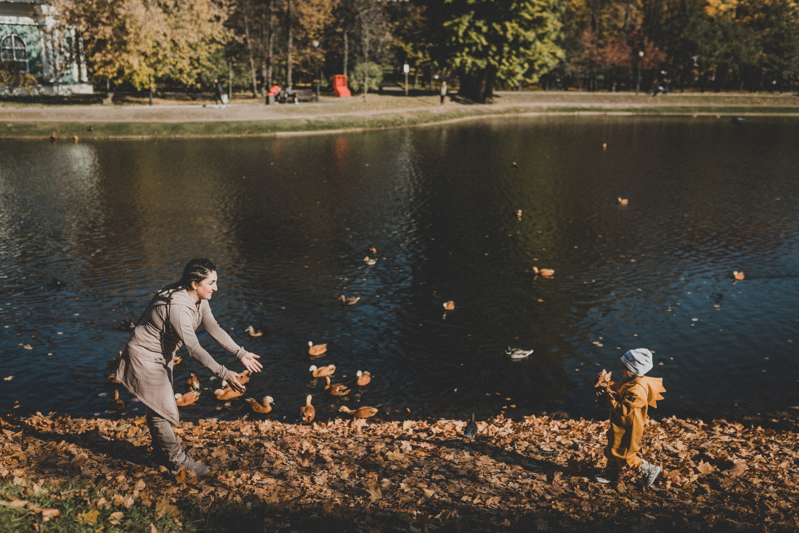 КОГДА ДЕРЕВЬЯ БЫЛИ БОЛЬШИМИ. Фотограф Лебедева Наталья