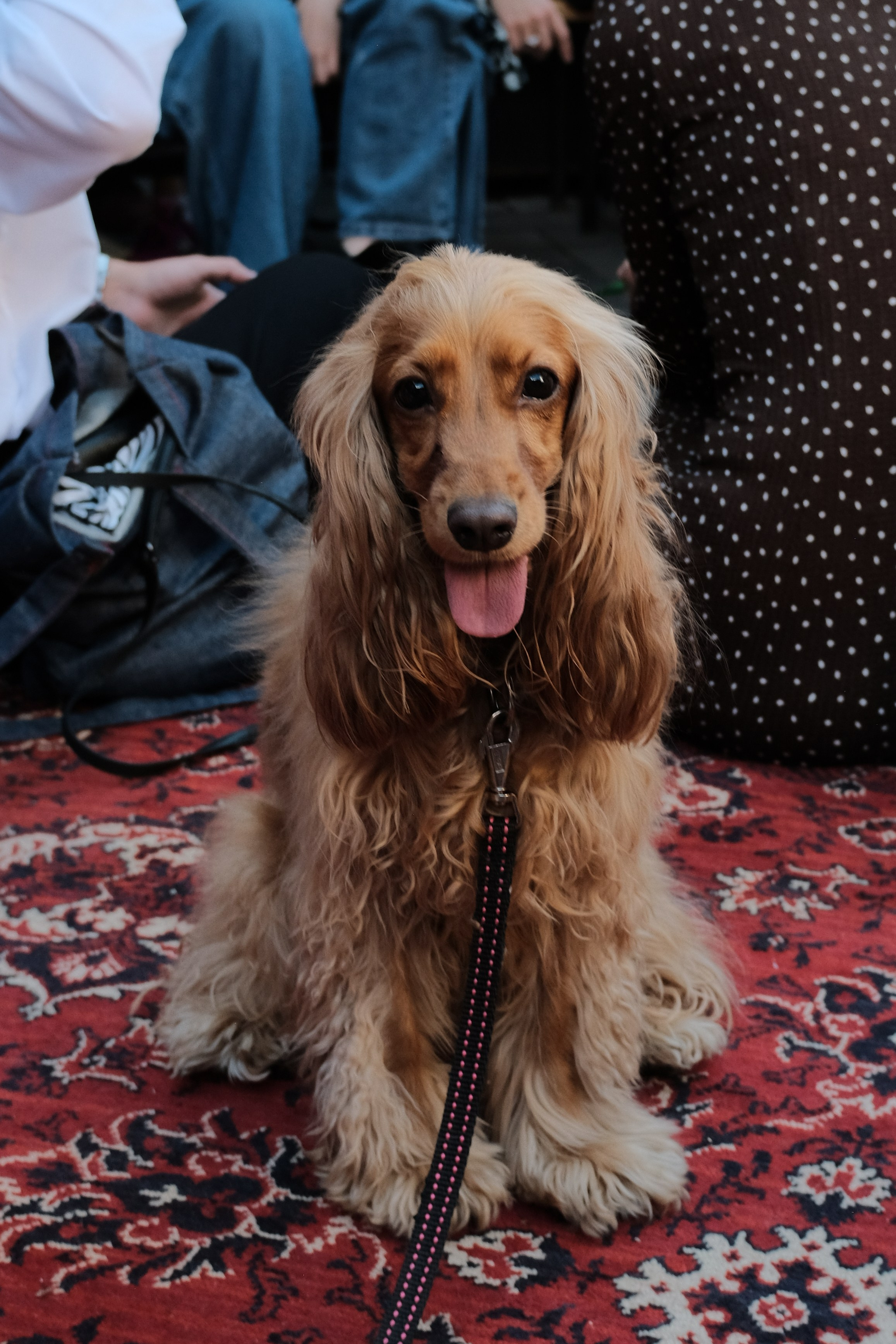 Rostov-on-Don. Creative travel photographer — Berg Daria