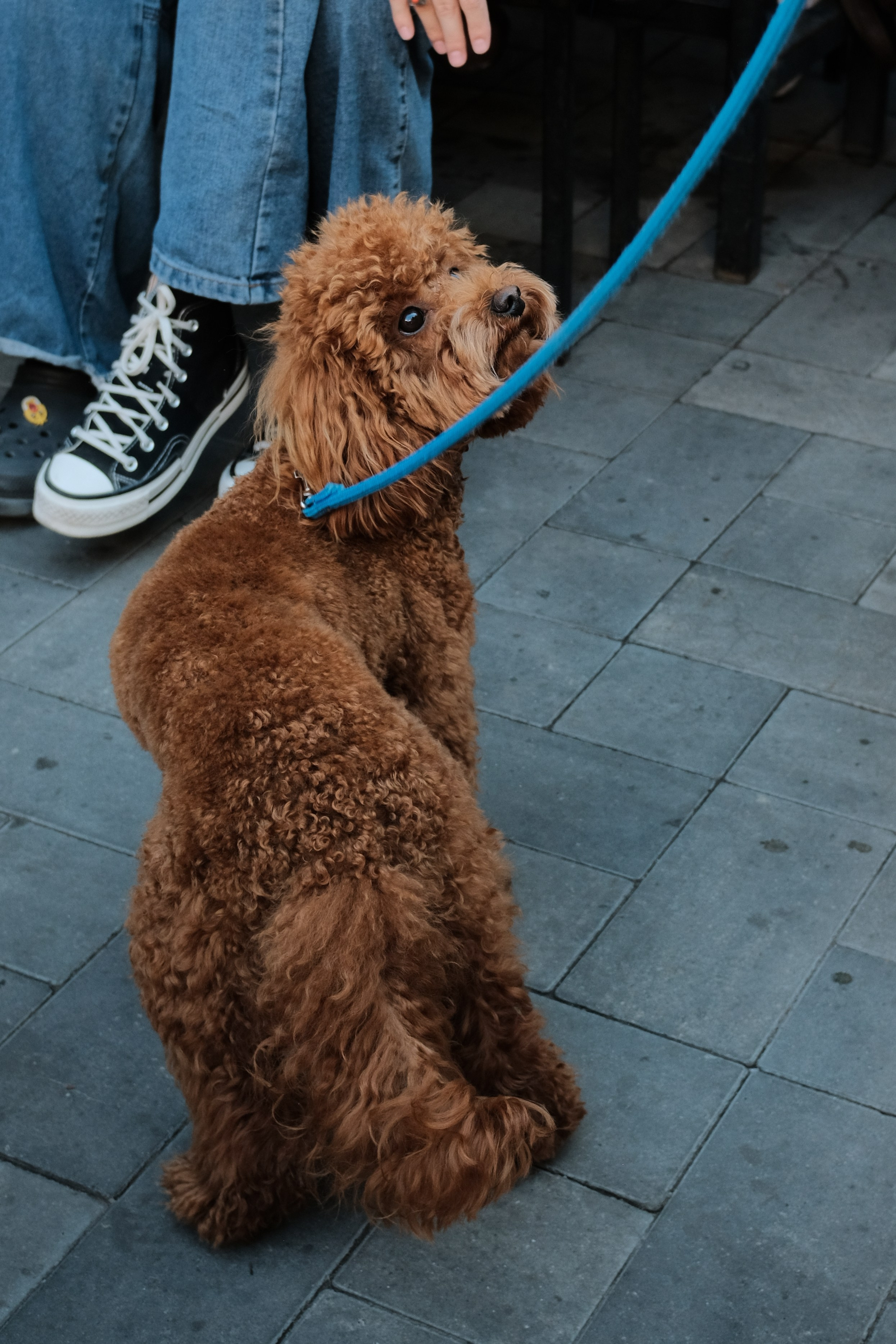 Rostov-on-Don. Creative travel photographer — Berg Daria