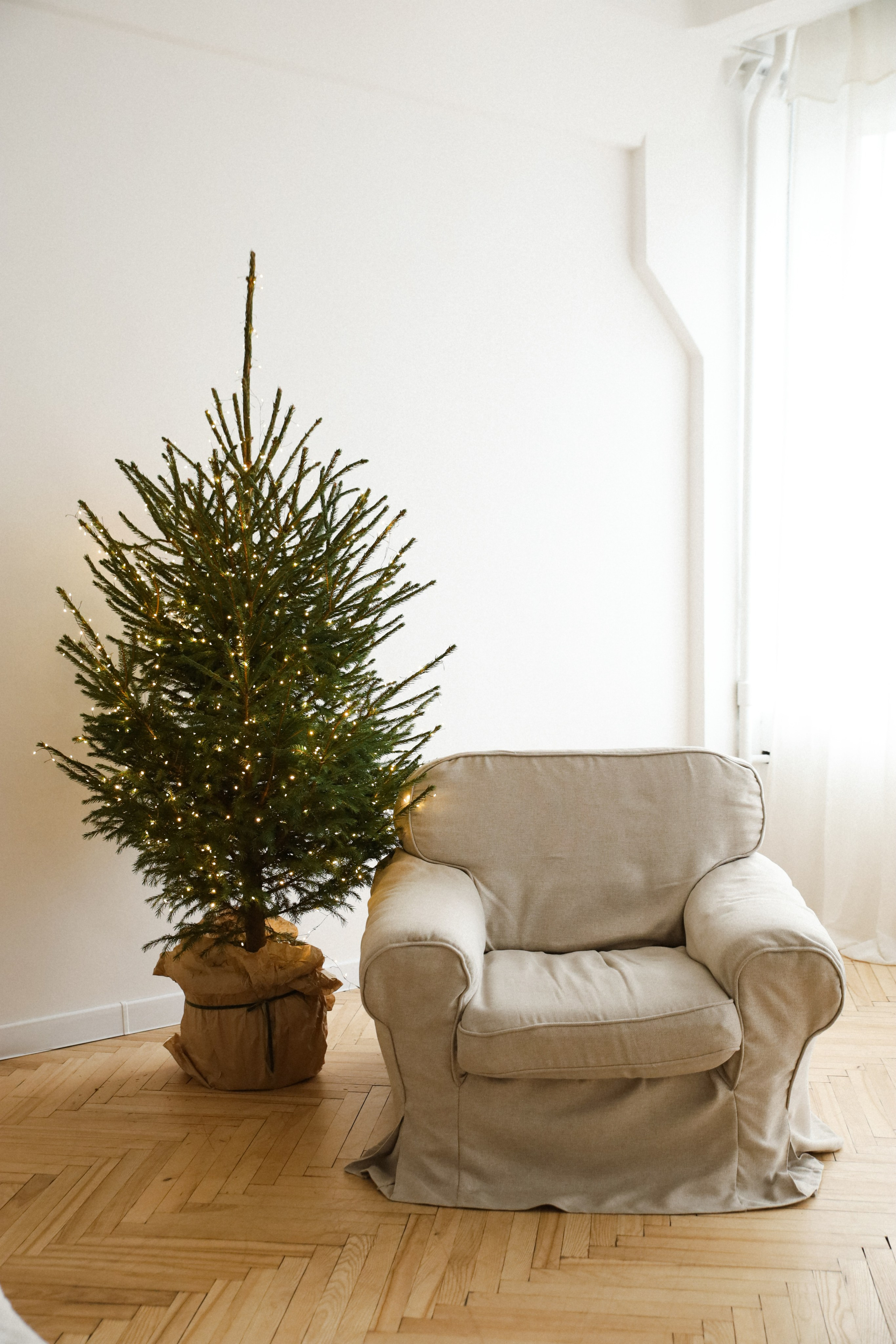 Рекомендации по подготовке к фотосессии беременности. Алёна Берёзка фотограф Минск