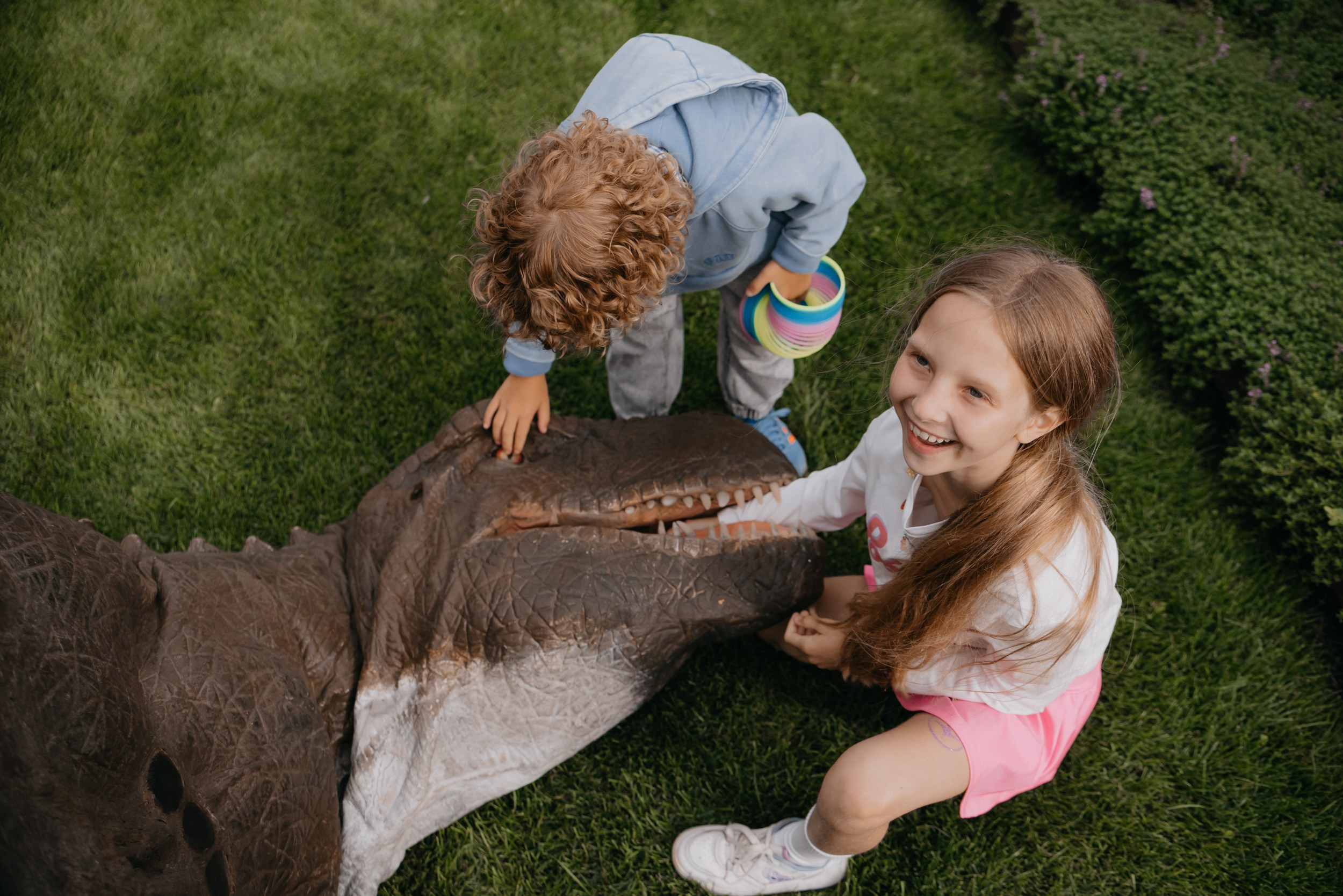 Дино Истории. Фотограф ваших событий