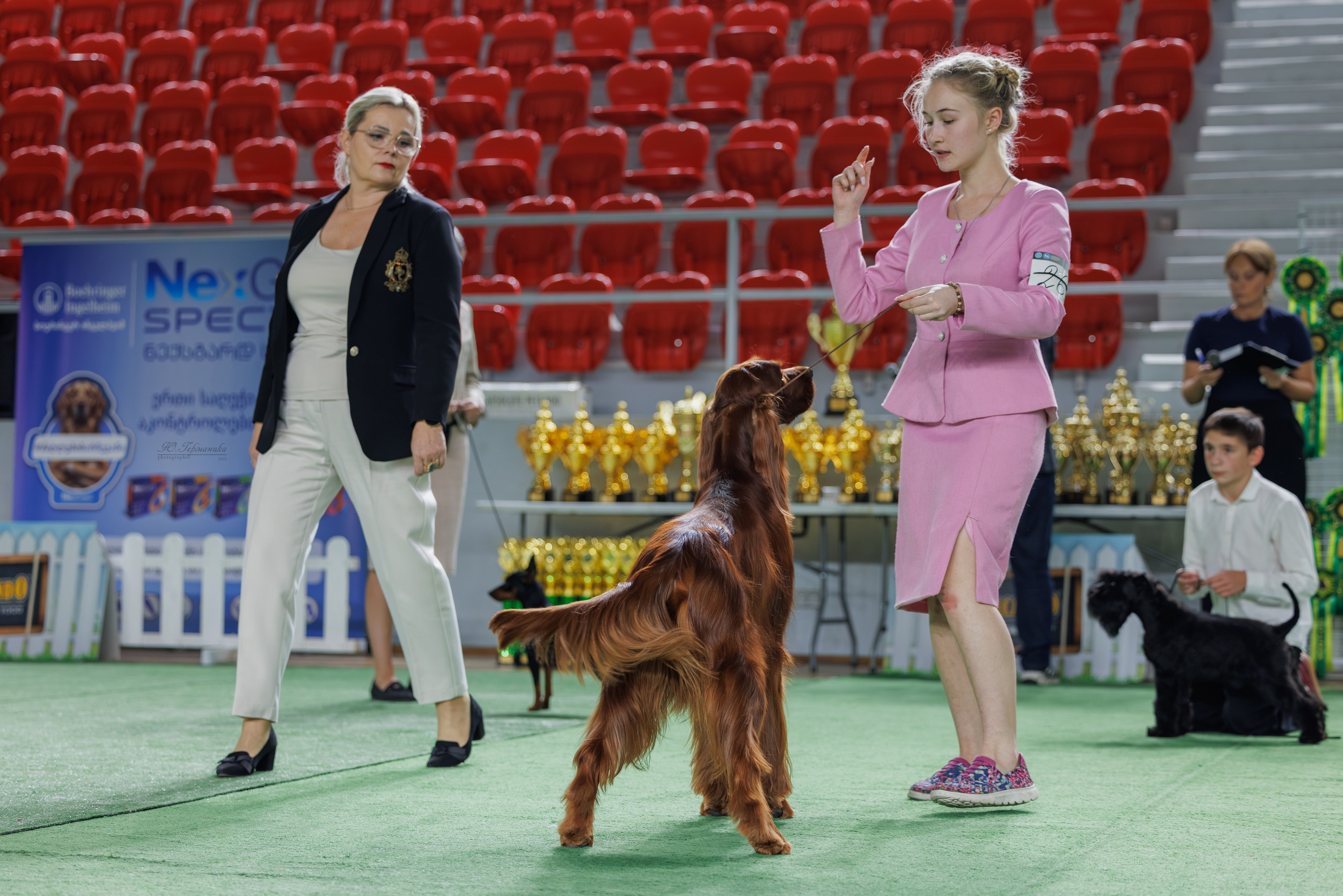 Телави 11-12.10.2025. Фотограф-анималист Юлия Германика