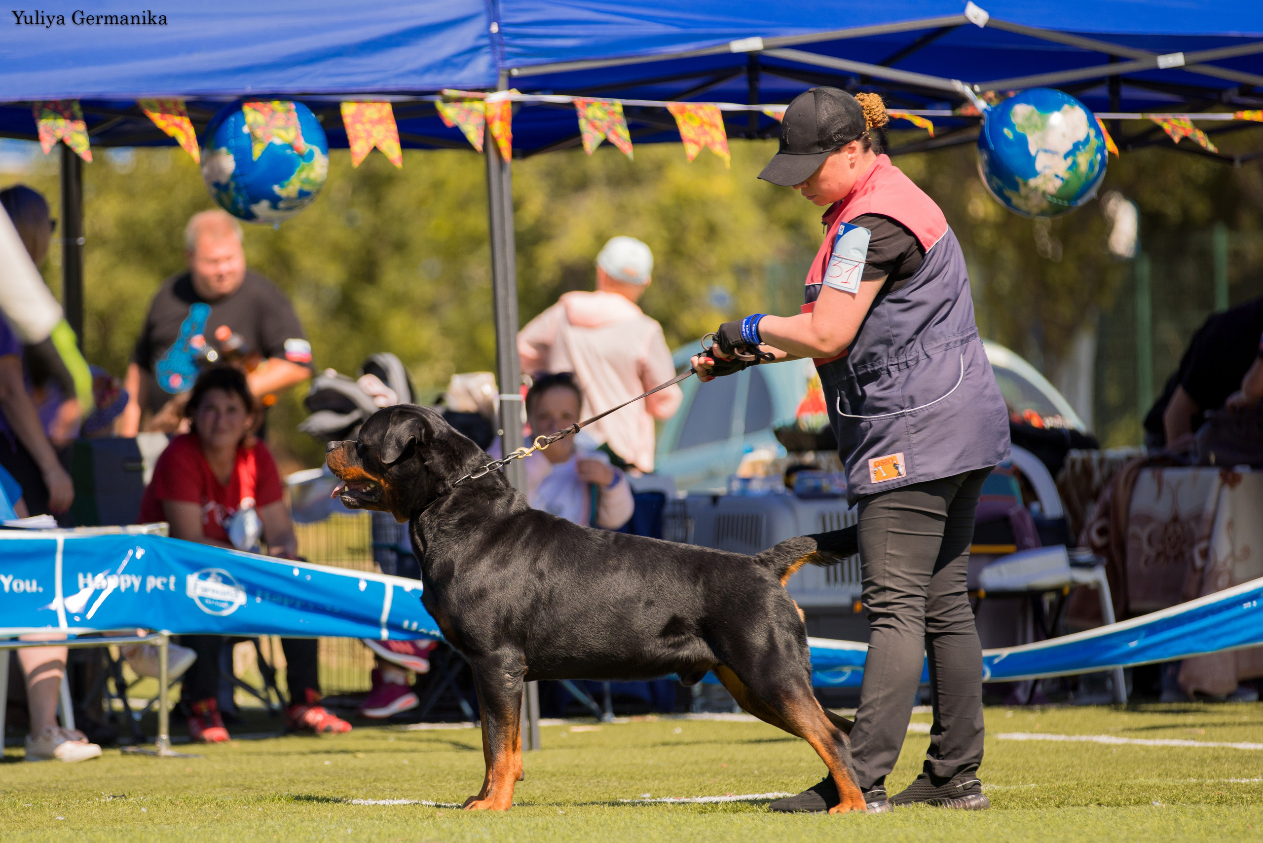 Анапа 16-17.09.2023 моно ротвейлеров. Фотограф-анималист Юлия Германика