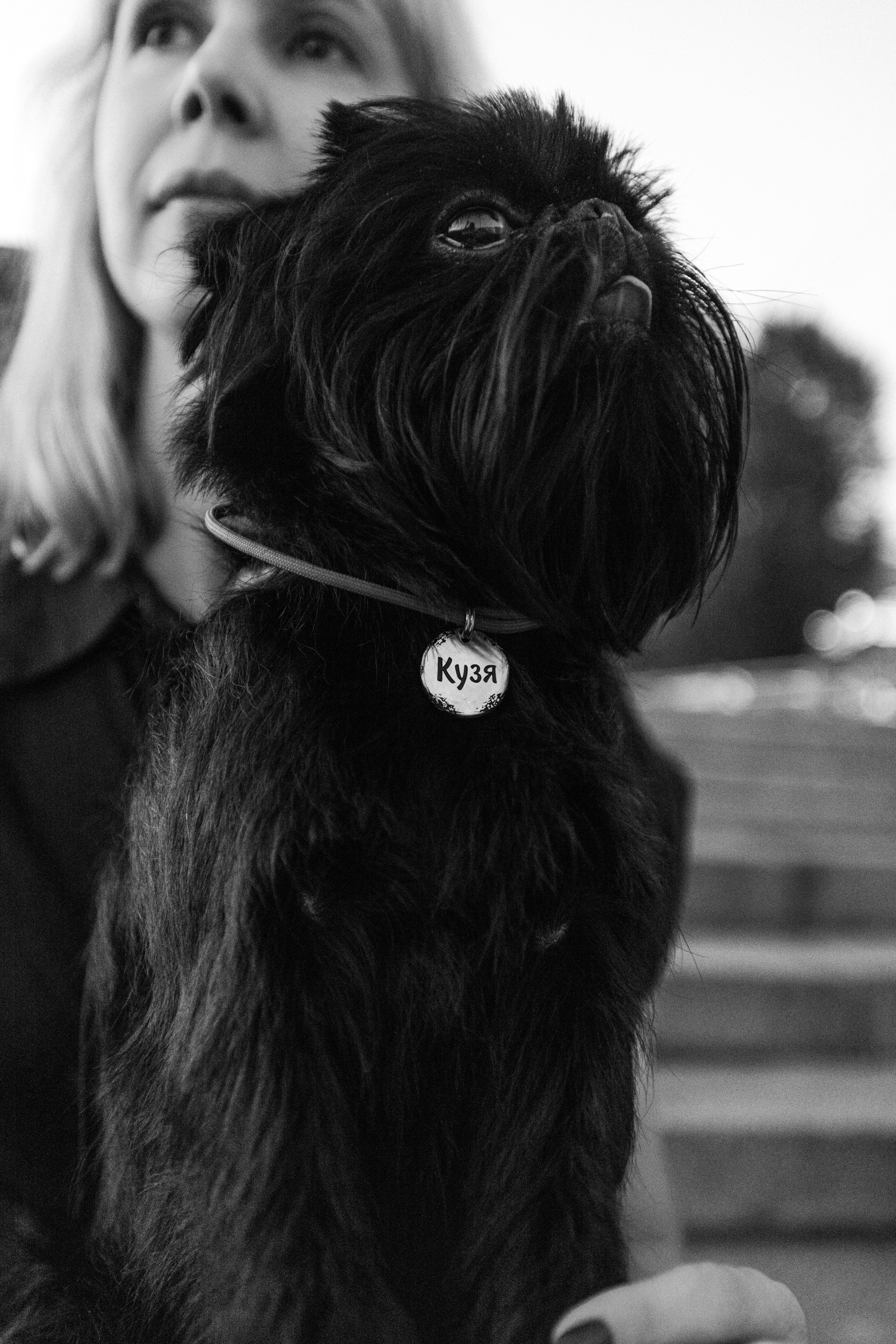 Ася и Кузя. Фотограф анималист Осипчикова Мария