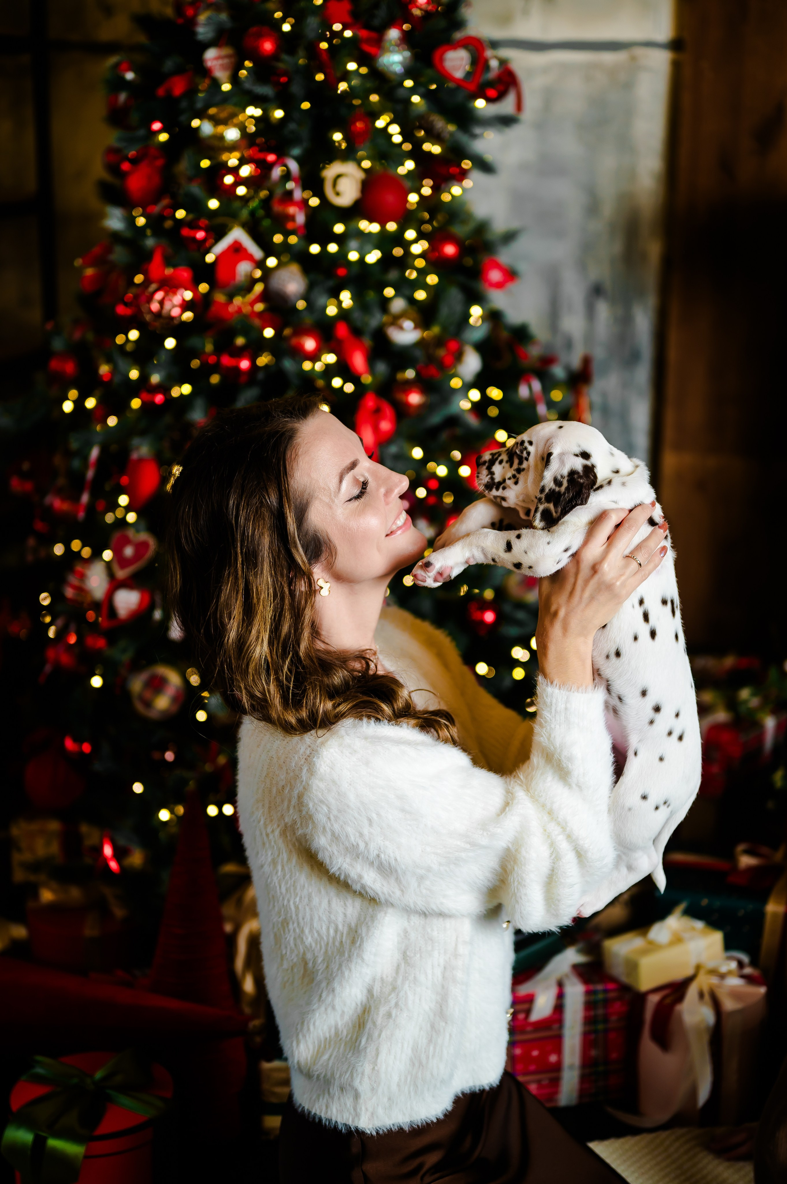 Фотосессия с далматинцами. Свадебный и семейный фотограф Евгения Кононова