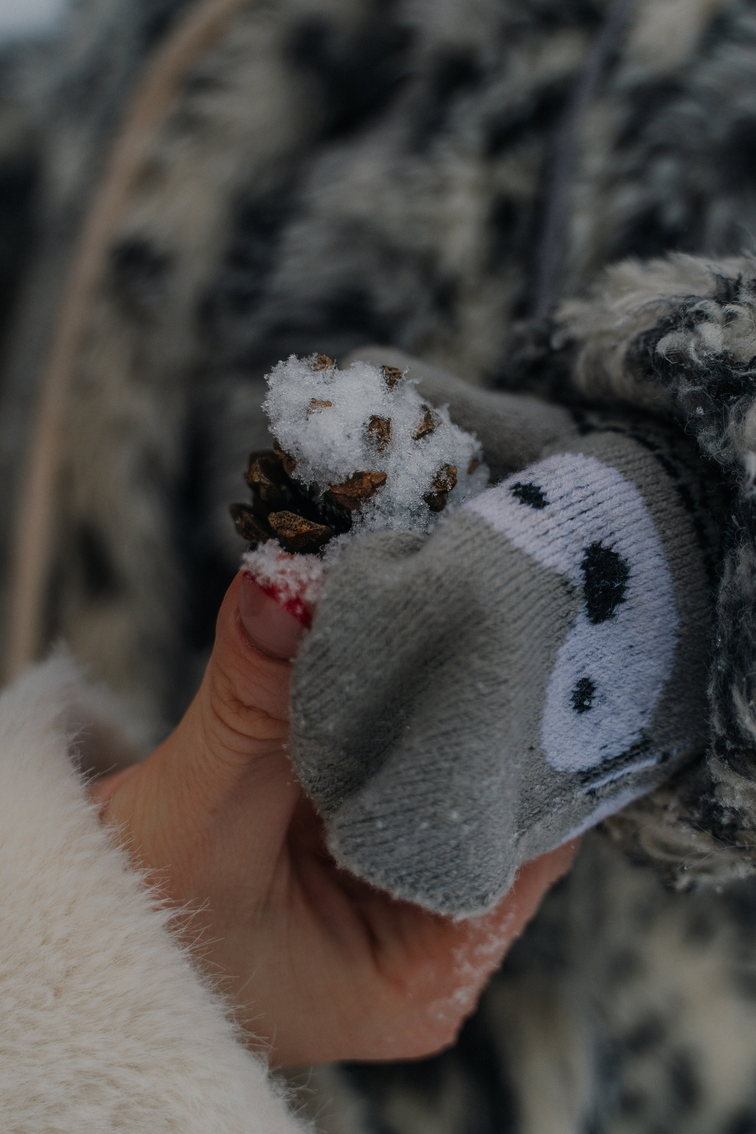 Зимняя сказка. FotoTanya. Раменское/Жуковский/Бронницы