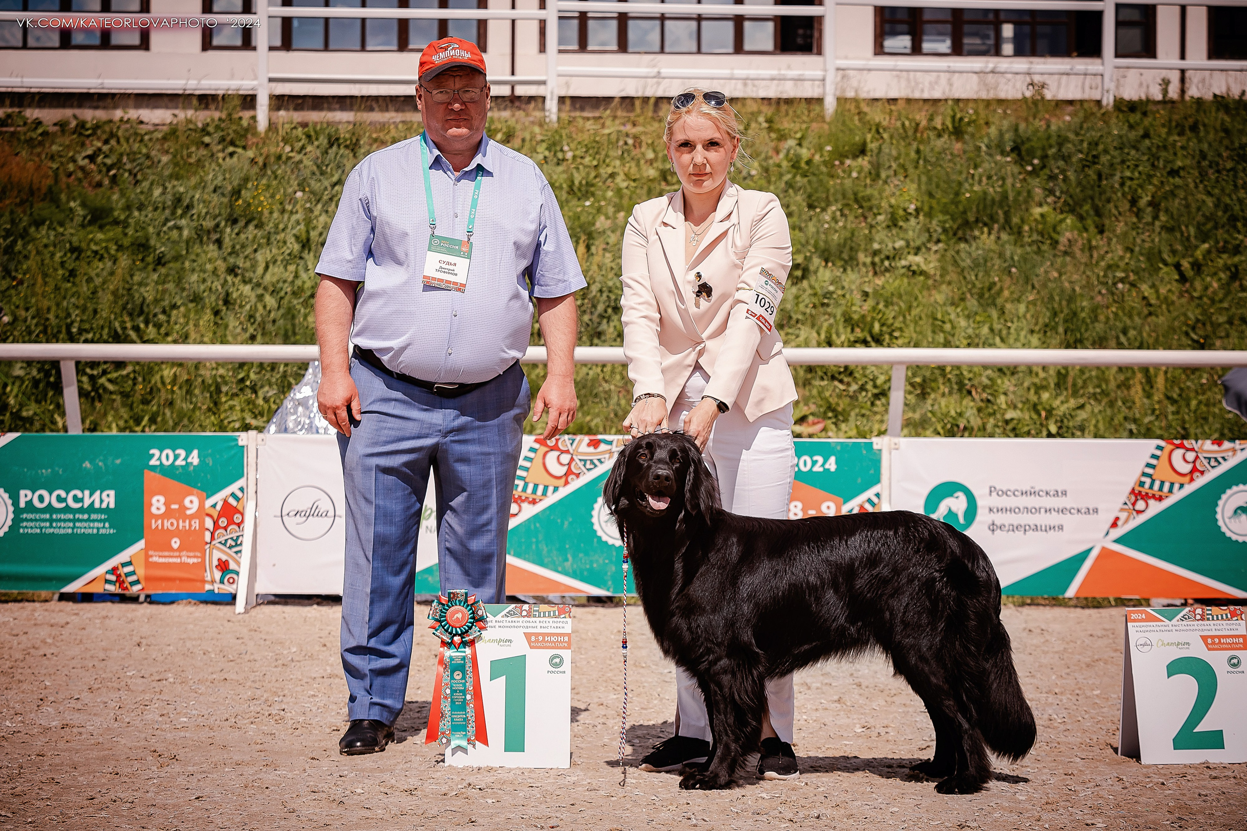 Фотосъемка собак, щенков, на выставках, фотограф анималист Россия воронеж. Питомник собак Акита, Хаски, Корги