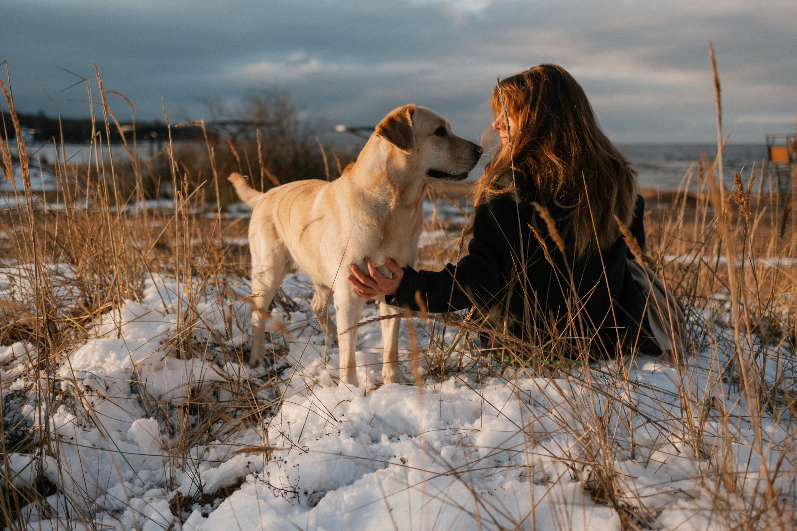 Ирина и Бася. Фотограф — Анималист | Санкт-Петербург