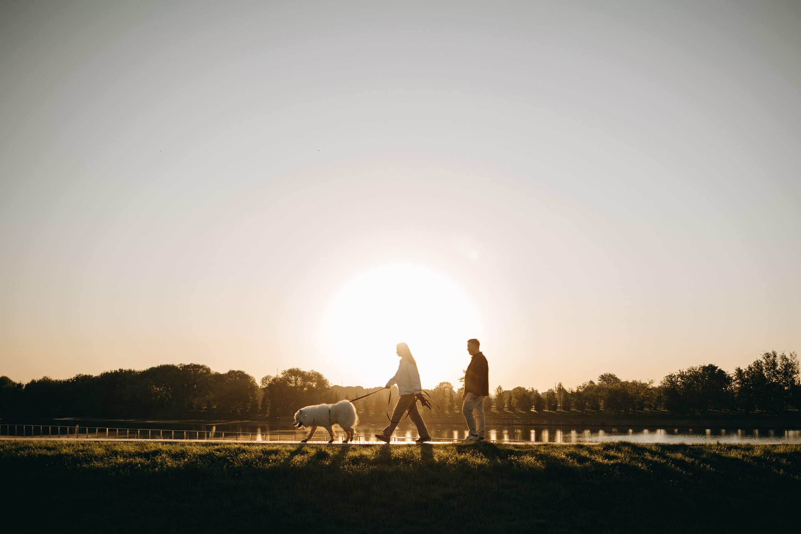 Танго и его семья. Фотограф — Анималист | Санкт-Петербург