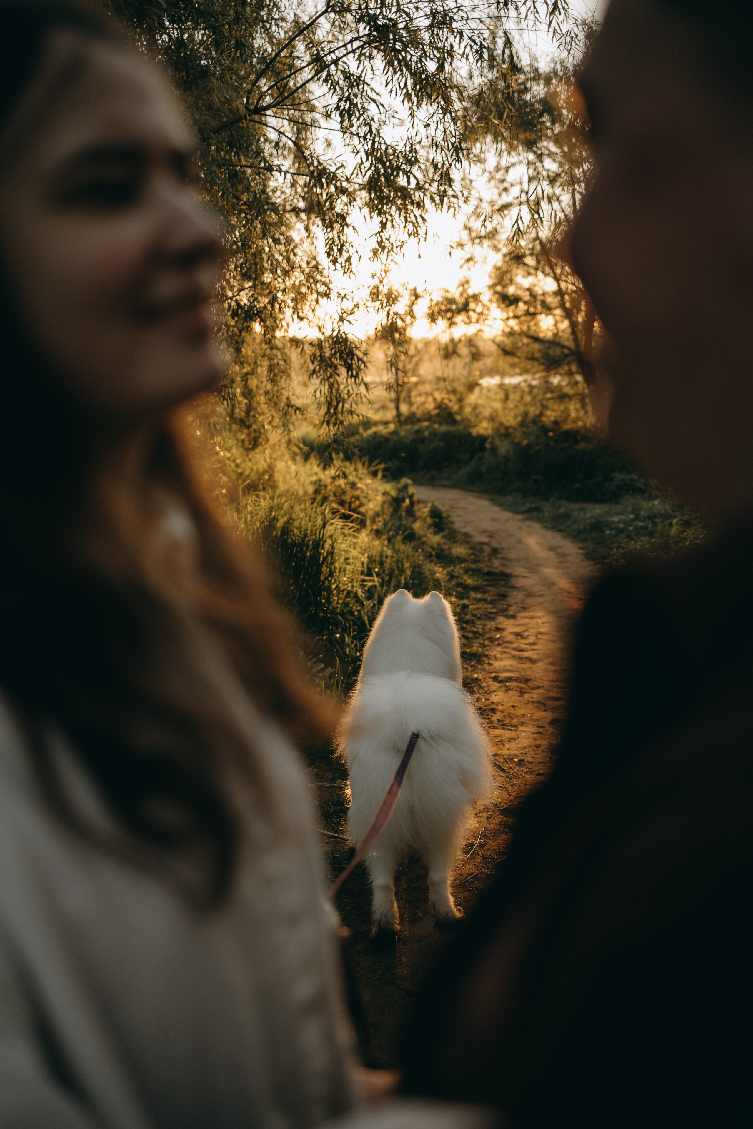 Танго и его семья. Фотограф — Анималист | Санкт-Петербург