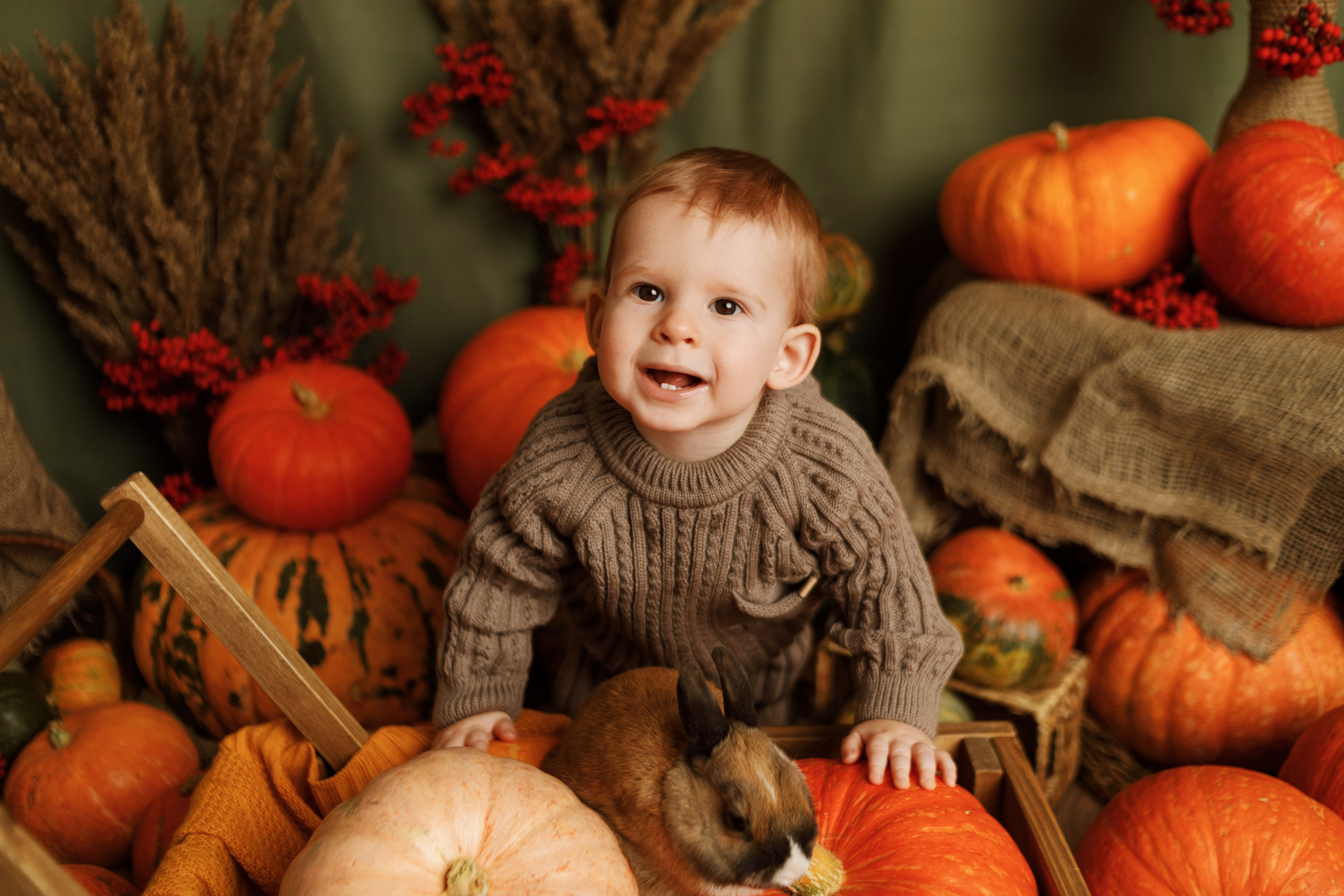 Фотопроекты. Фотограф новорождённых семейный фотограф Томск Елена Каплина