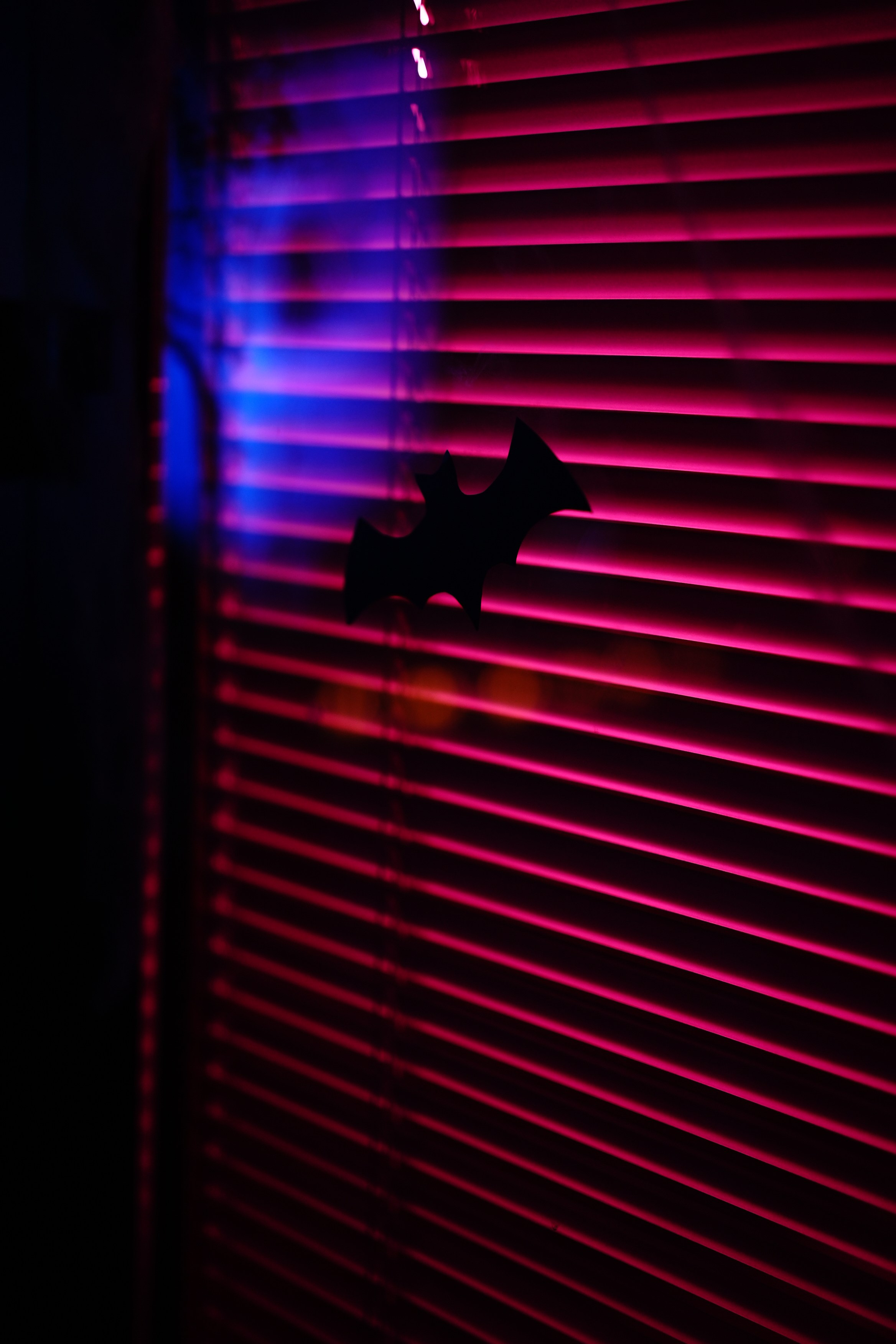 Квиз, плиз! Хэллоуин. Репортажный фотограф Владимир Горбатенков | Москва