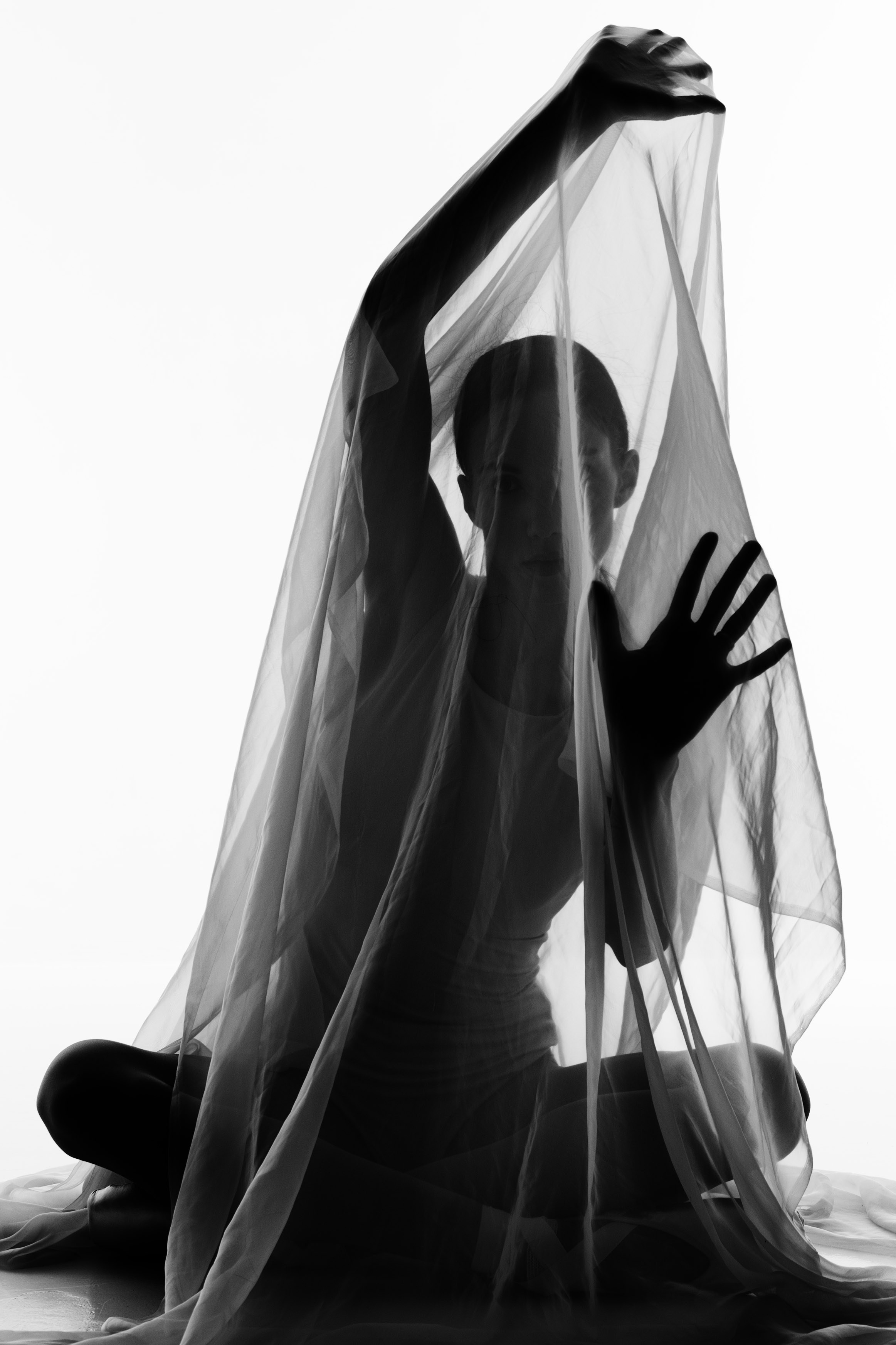 Искусство линии и света