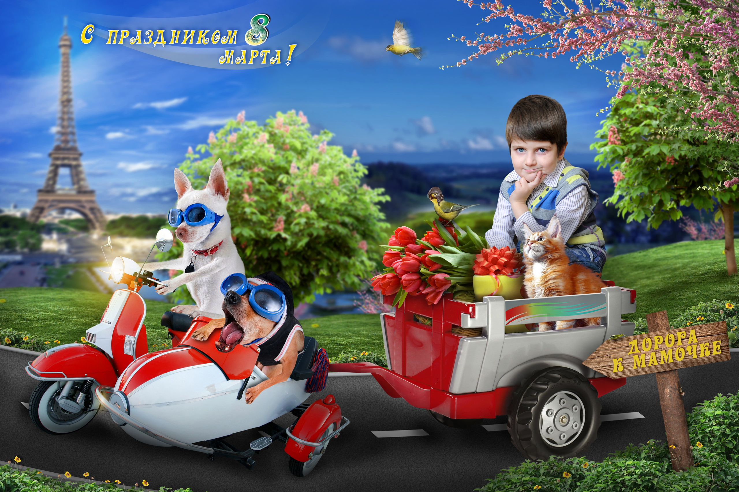 Весна. Выпускные фотокниги, фотосъемка, видеосъемка в Челябинске и области