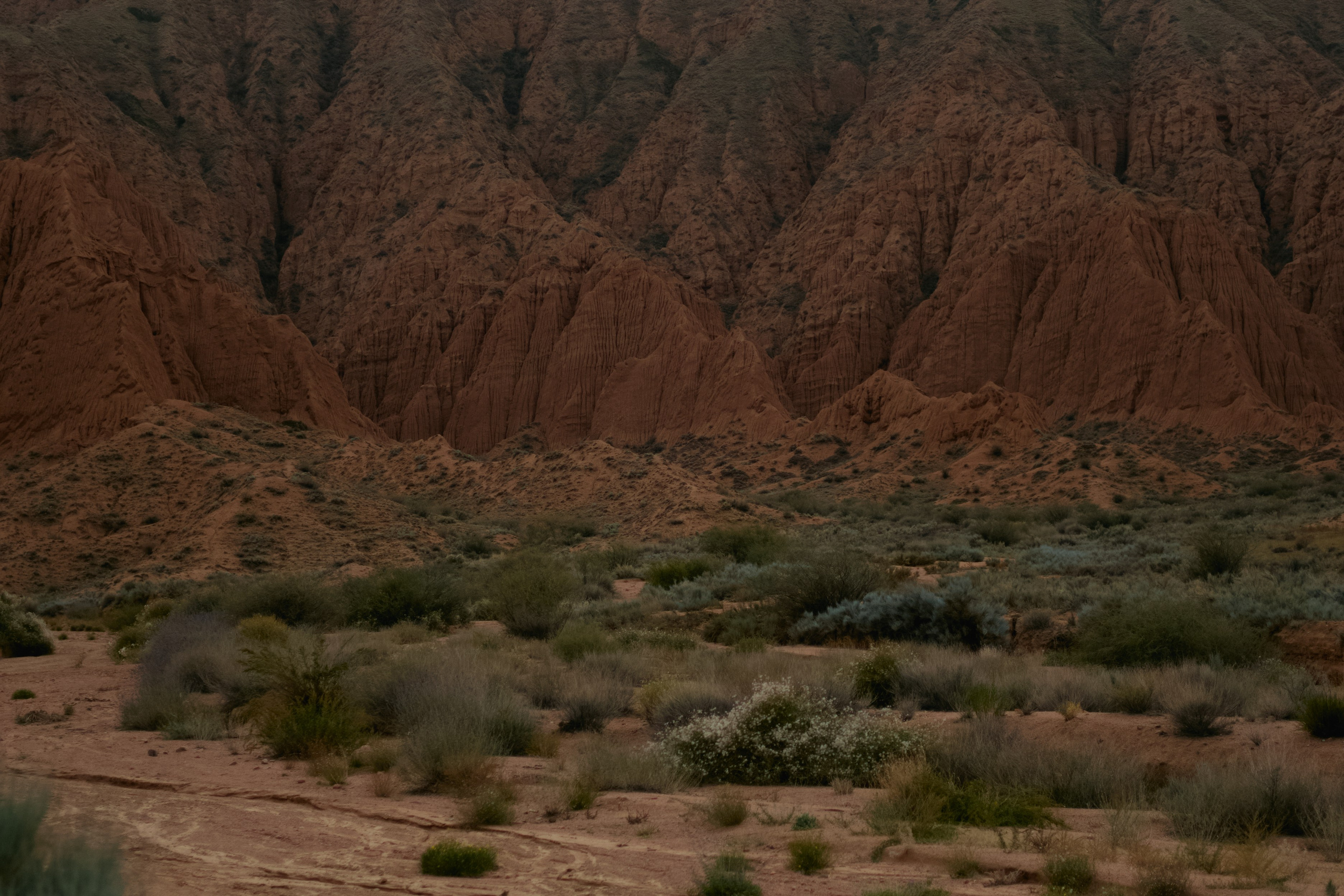 Кыргызтан. Профессиональный Фотограф во Владимире, в Москве и в Суздале — Полина Романычева