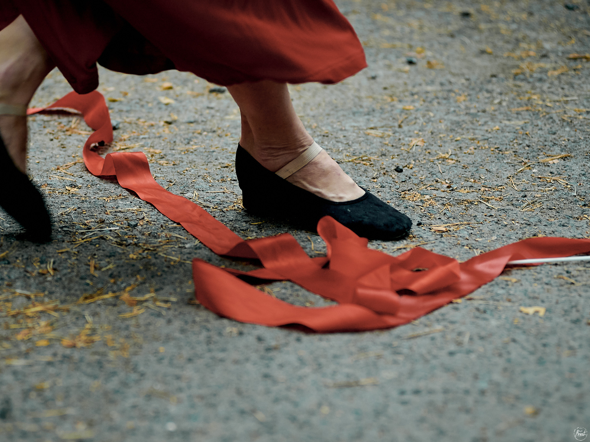 Цирк Принтинпрам. Фотографии отовсюду и обо всем