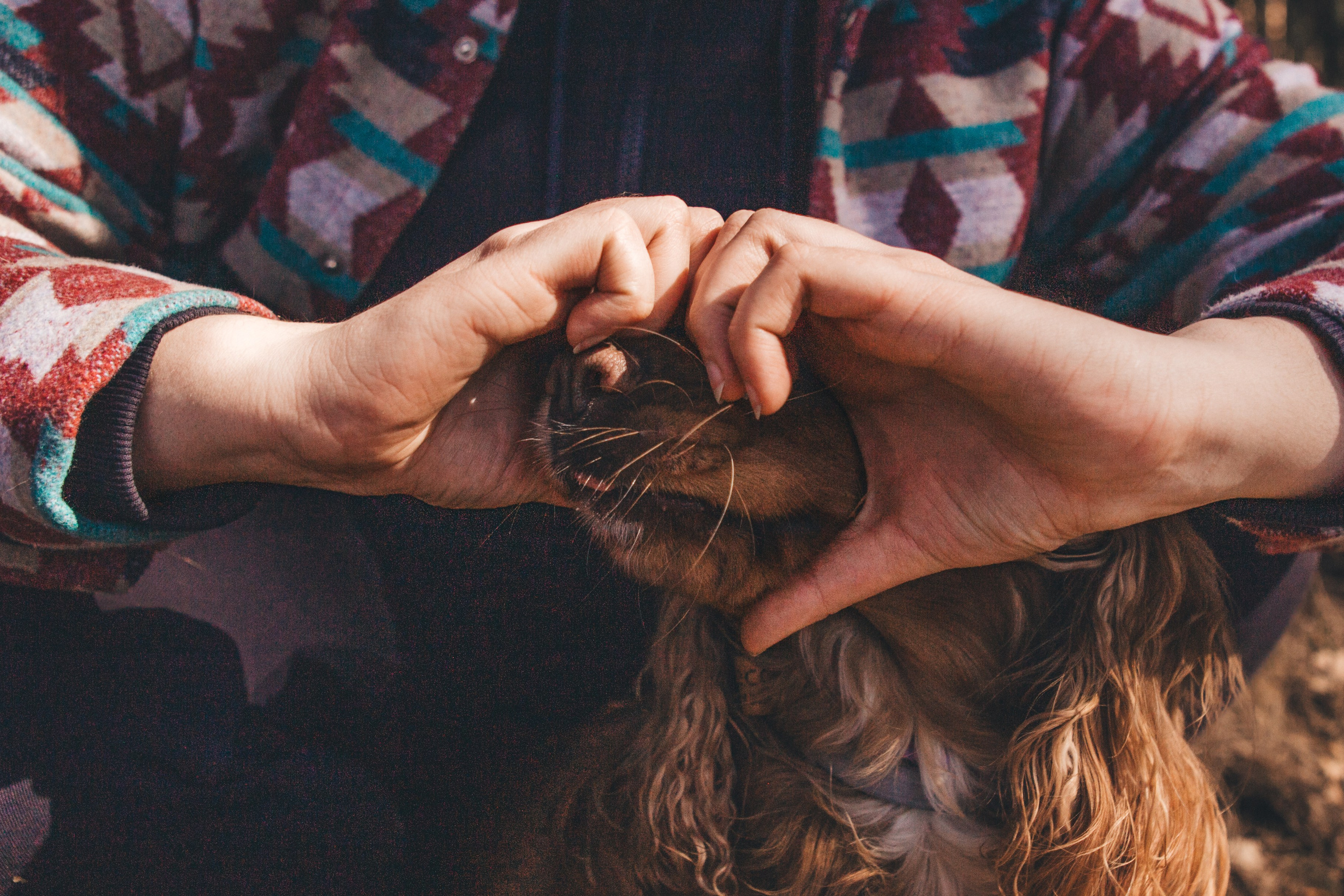 Julia & Jessie. Portrait, family and pet photographer in Cyprus, Ksenia Bourdelle