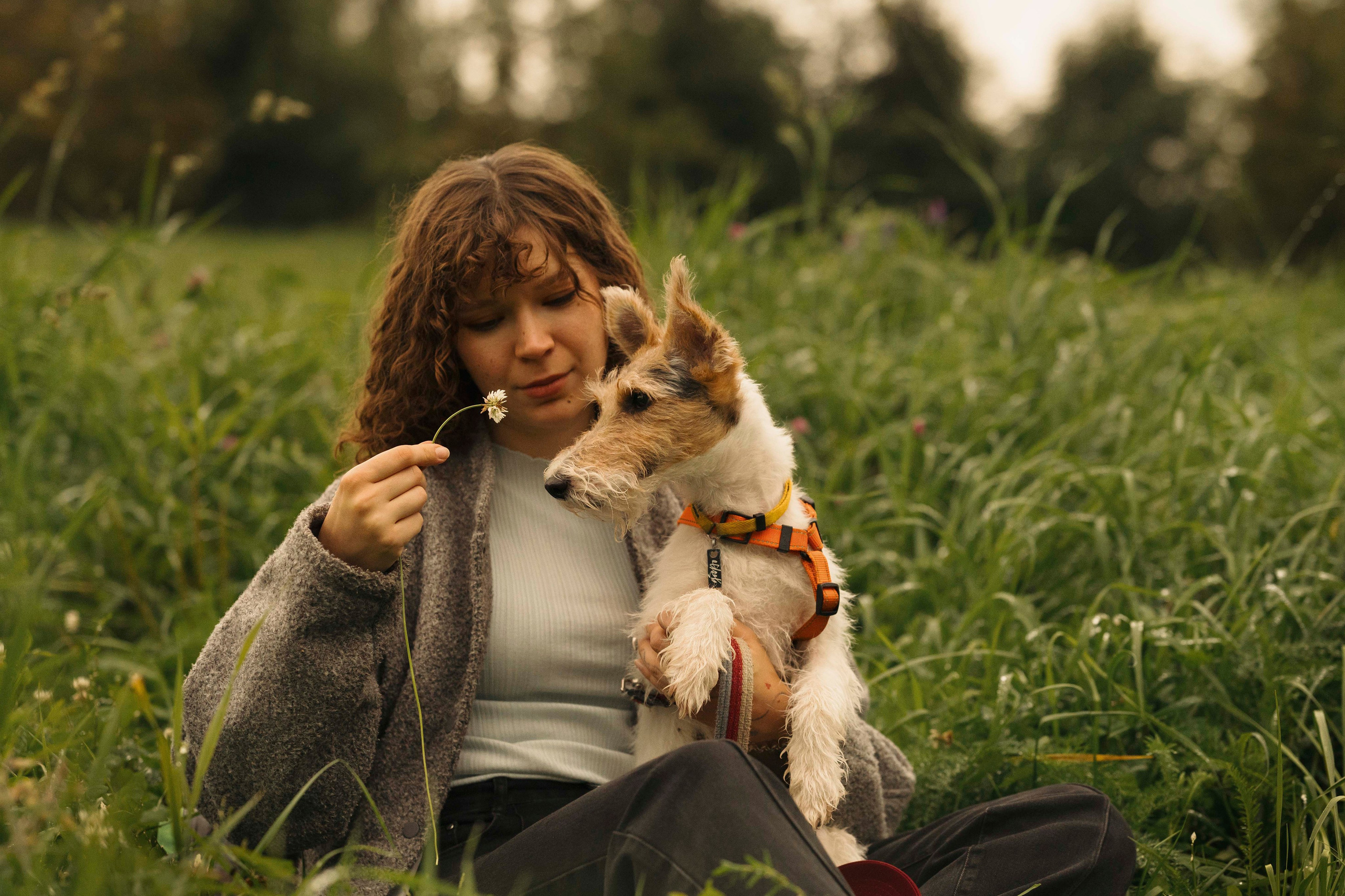 Мартин. Фотограф- анималист Александра Матвеева