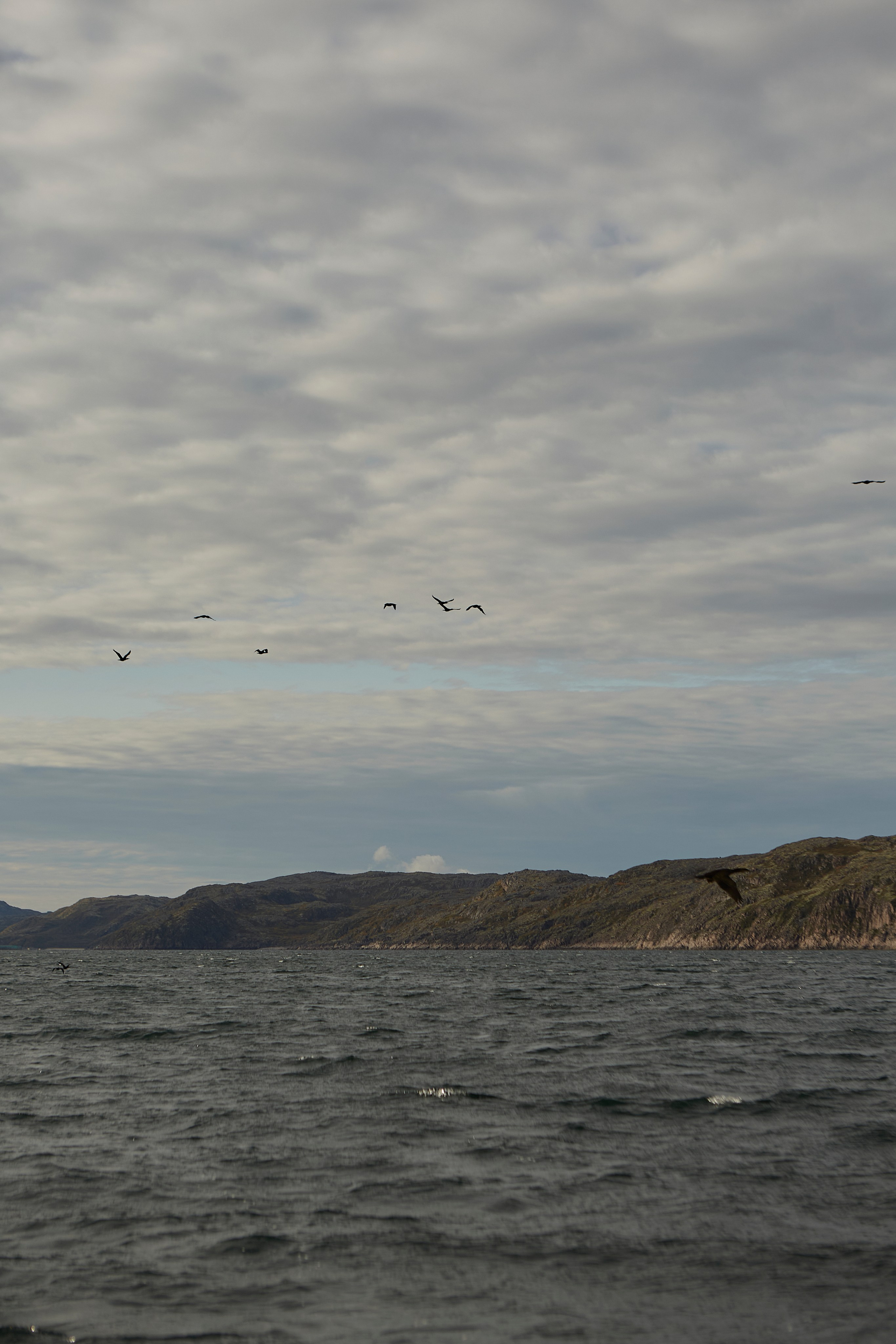 Ульяна. Анастасия Зобнинá — фотограф в Санкт-Петербурге/СПб