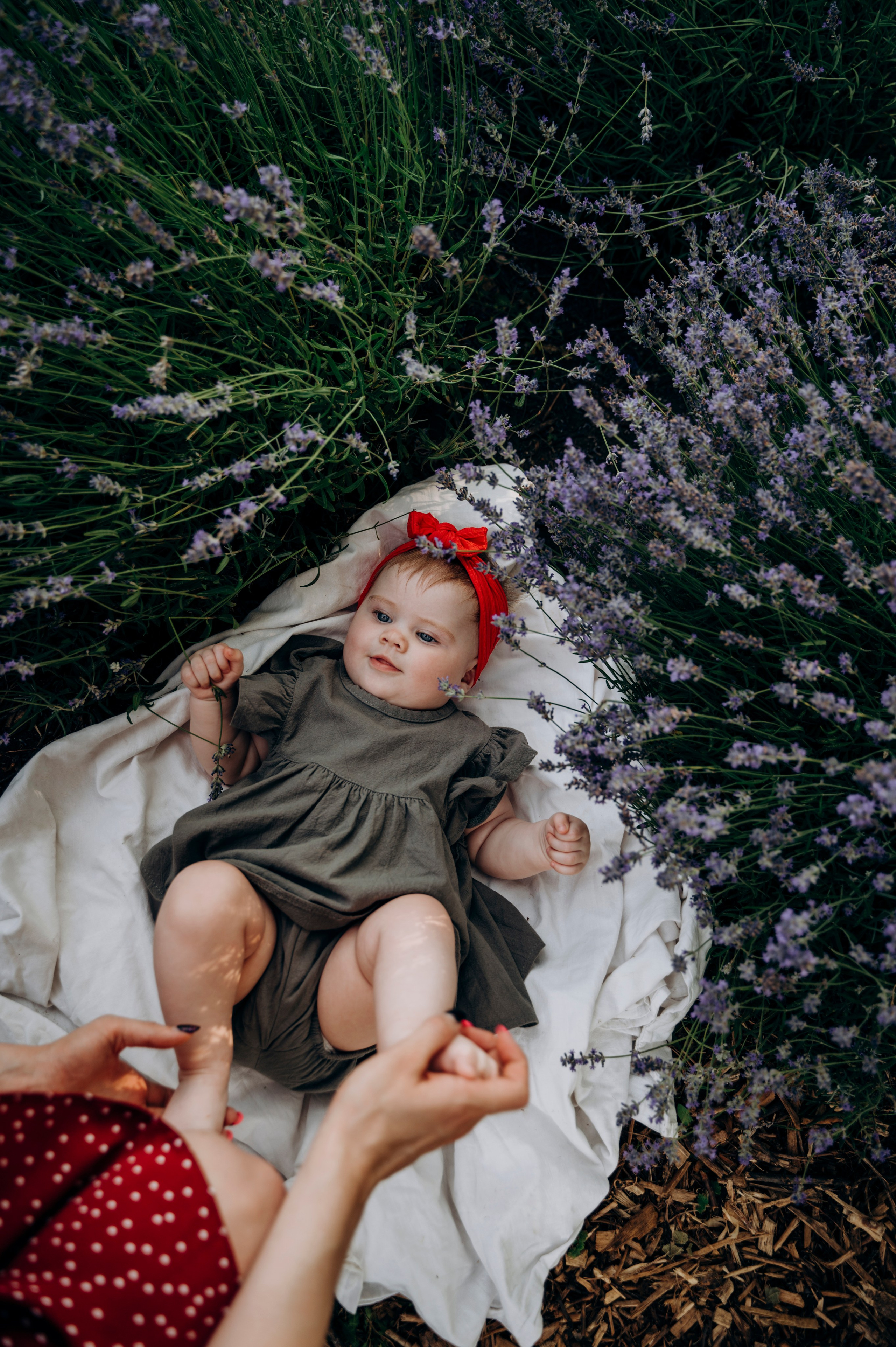 Тепло сиреневых дней. Семейный и детский фотограф Анастасия Монченко