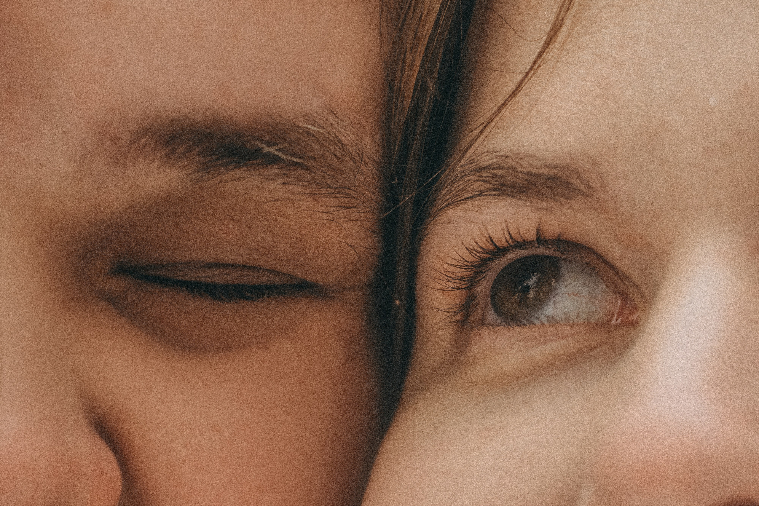 Катя, Анатолий и Елай. Фотограф анималист в Москве и Санкт-Петербурге Свиридова Анна